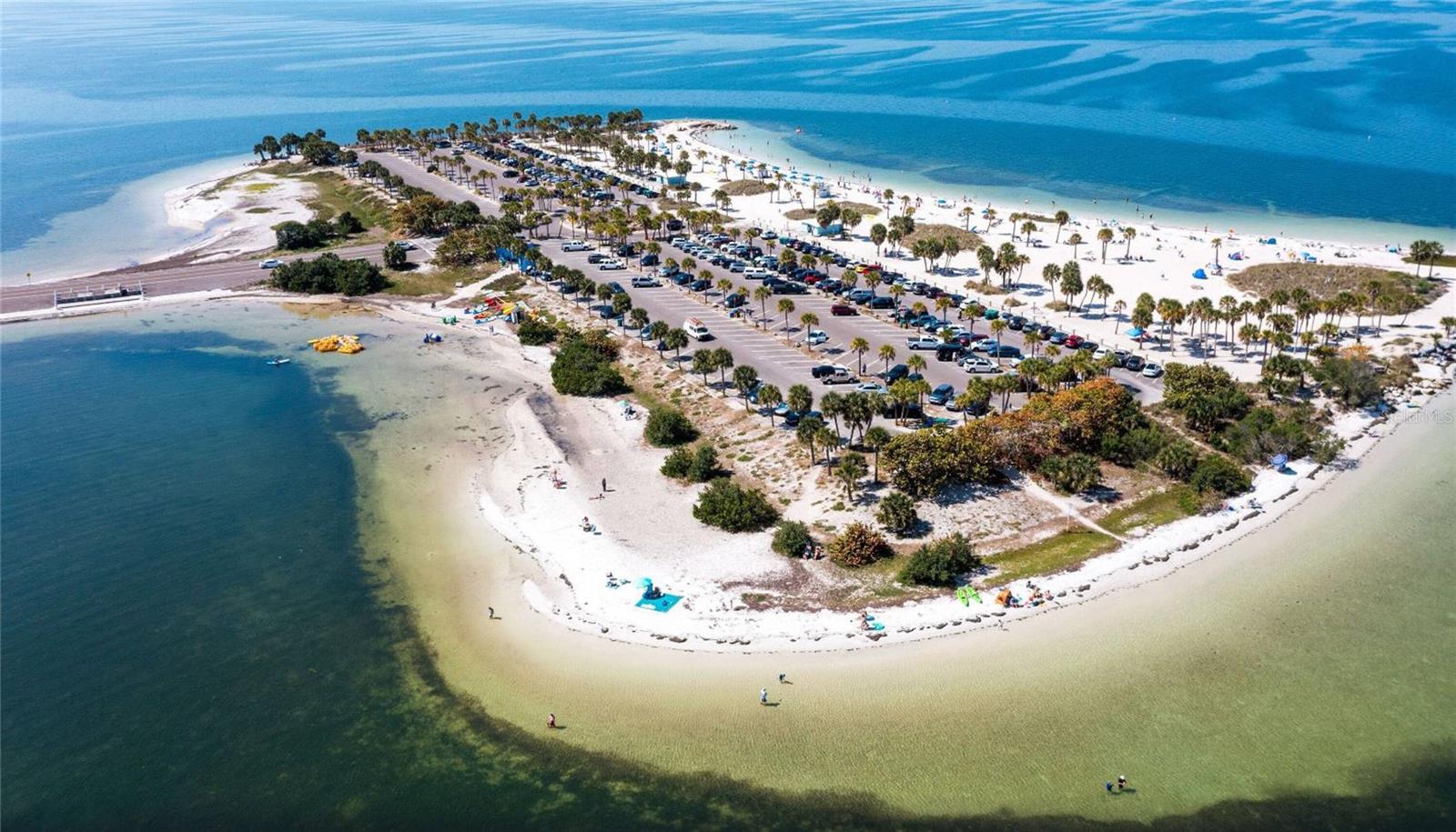 TAMPA TARPON SPGS LAND CO - Land