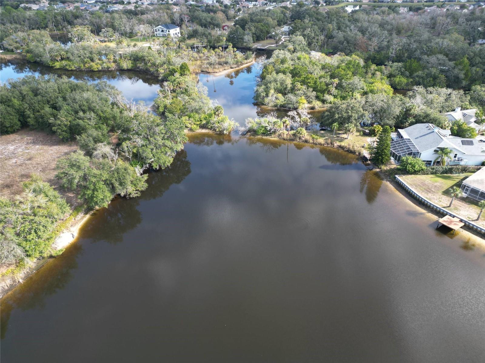 TAMPA TARPON SPGS LAND CO - Land
