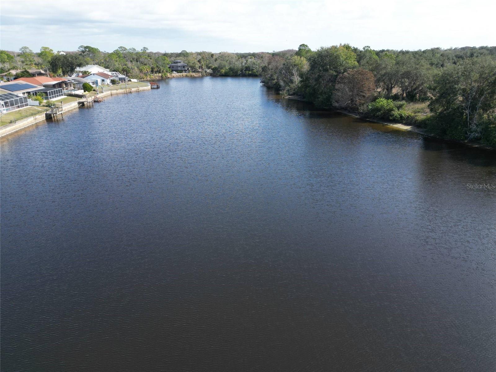 TAMPA TARPON SPGS LAND CO - Land