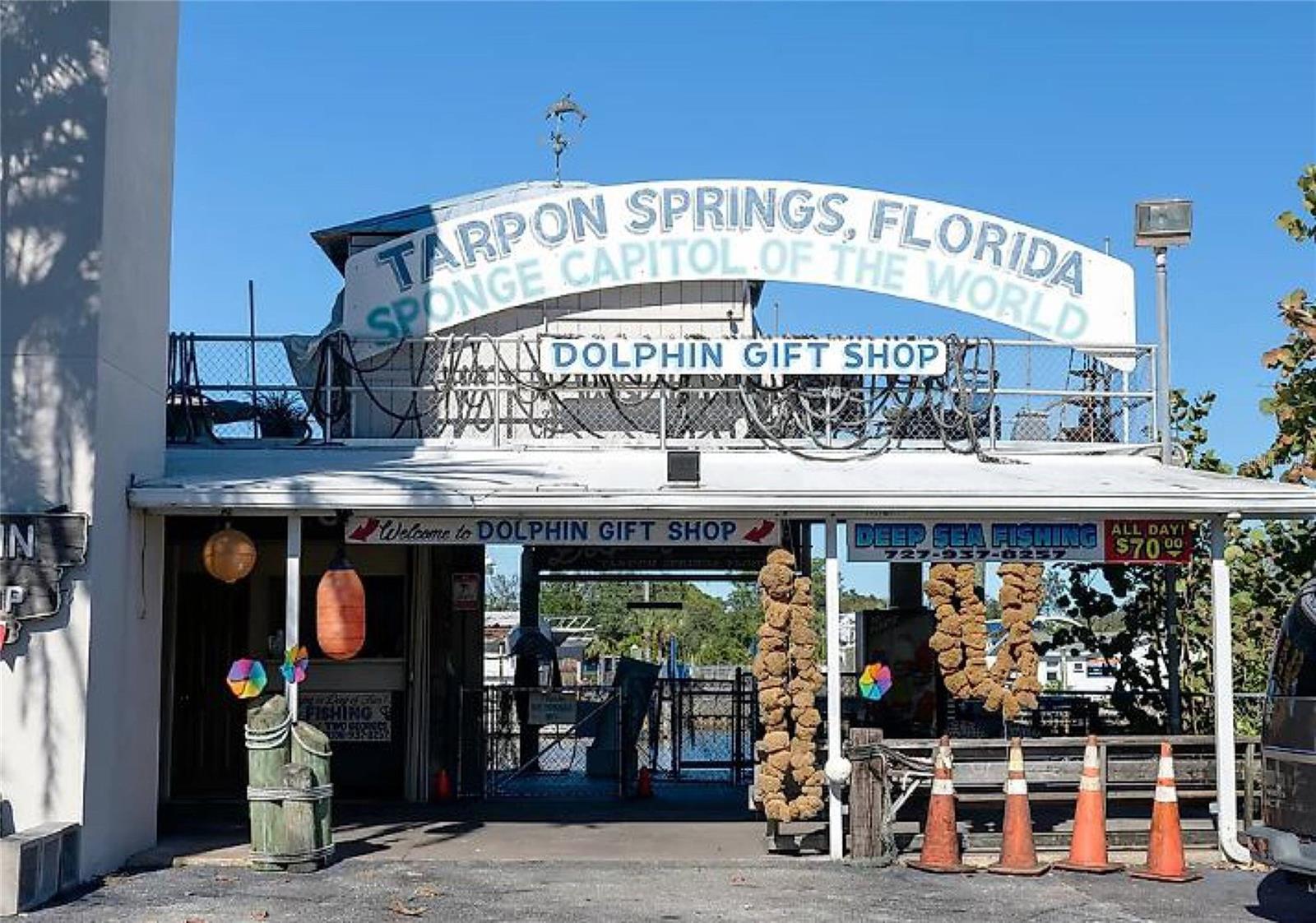 TAMPA TARPON SPGS LAND CO - Land