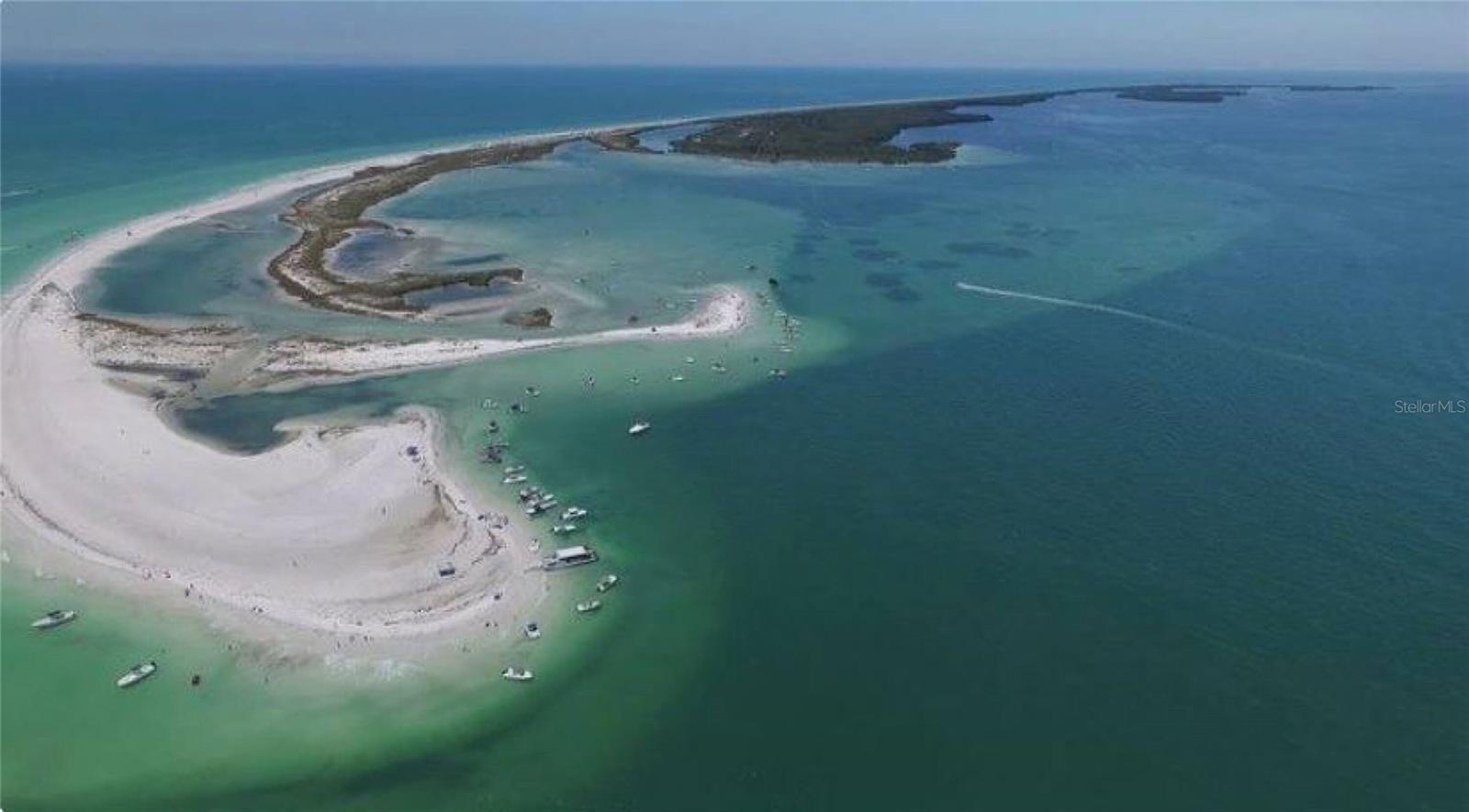 TAMPA TARPON SPGS LAND CO - Land