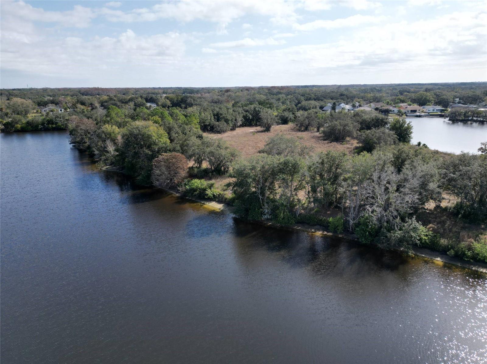 TAMPA TARPON SPGS LAND CO - Land