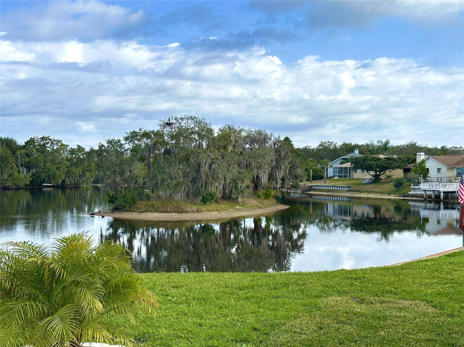 TAMPA TARPON SPGS LAND CO - Land