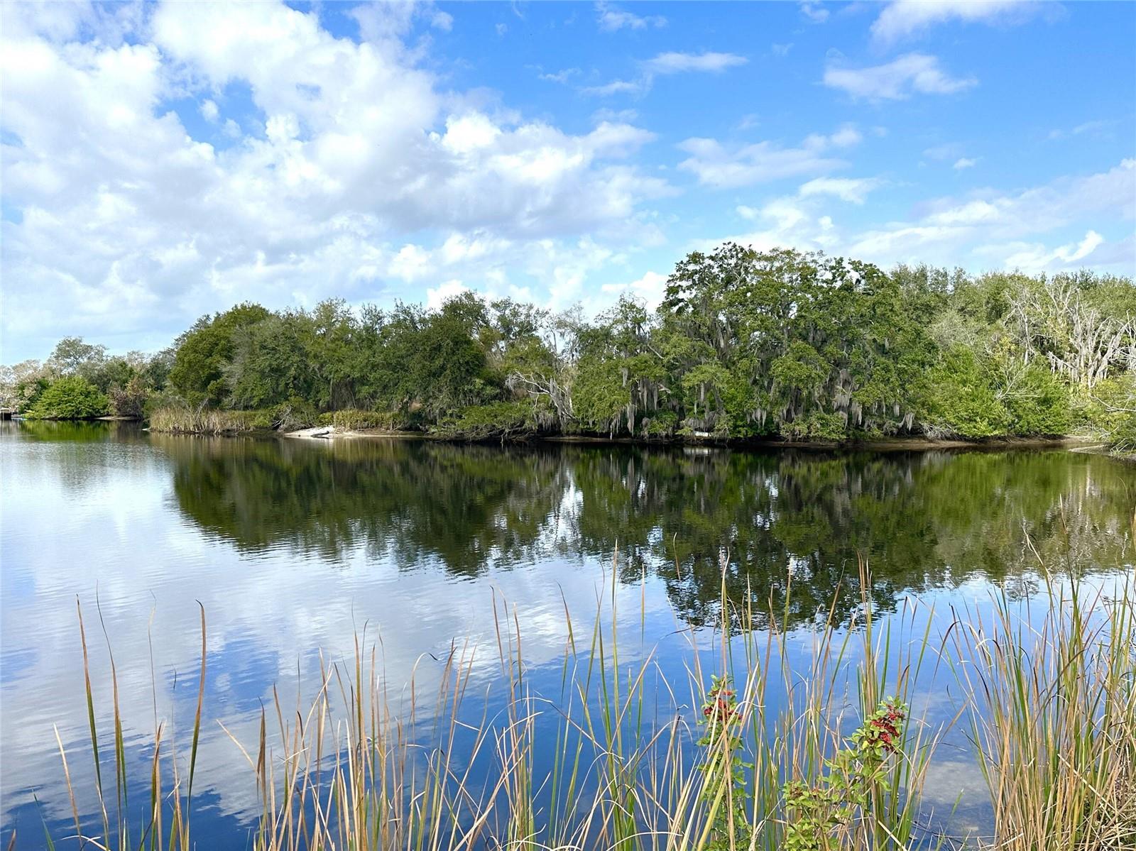 TAMPA TARPON SPGS LAND CO - Land