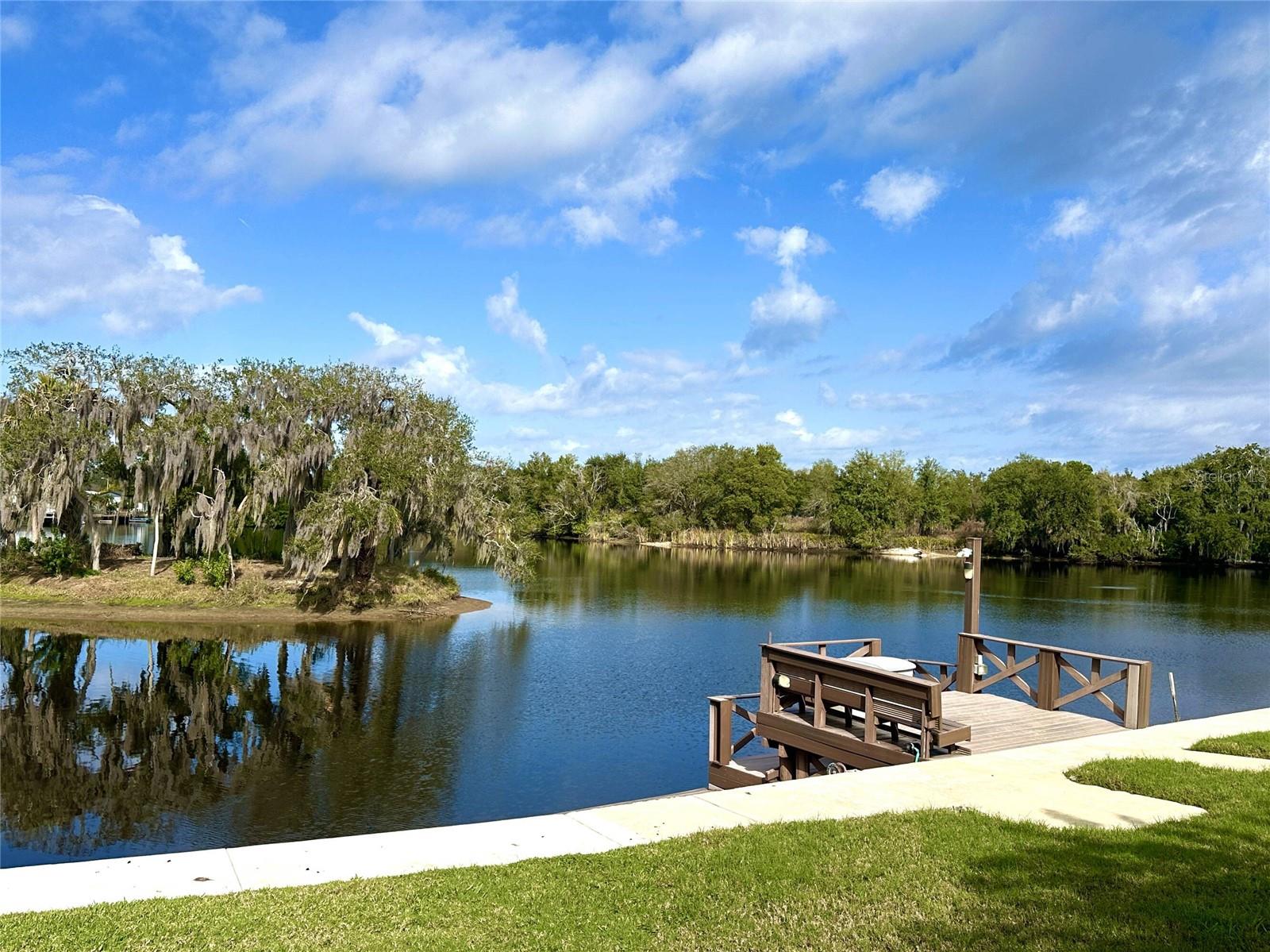 TAMPA TARPON SPGS LAND CO - Land