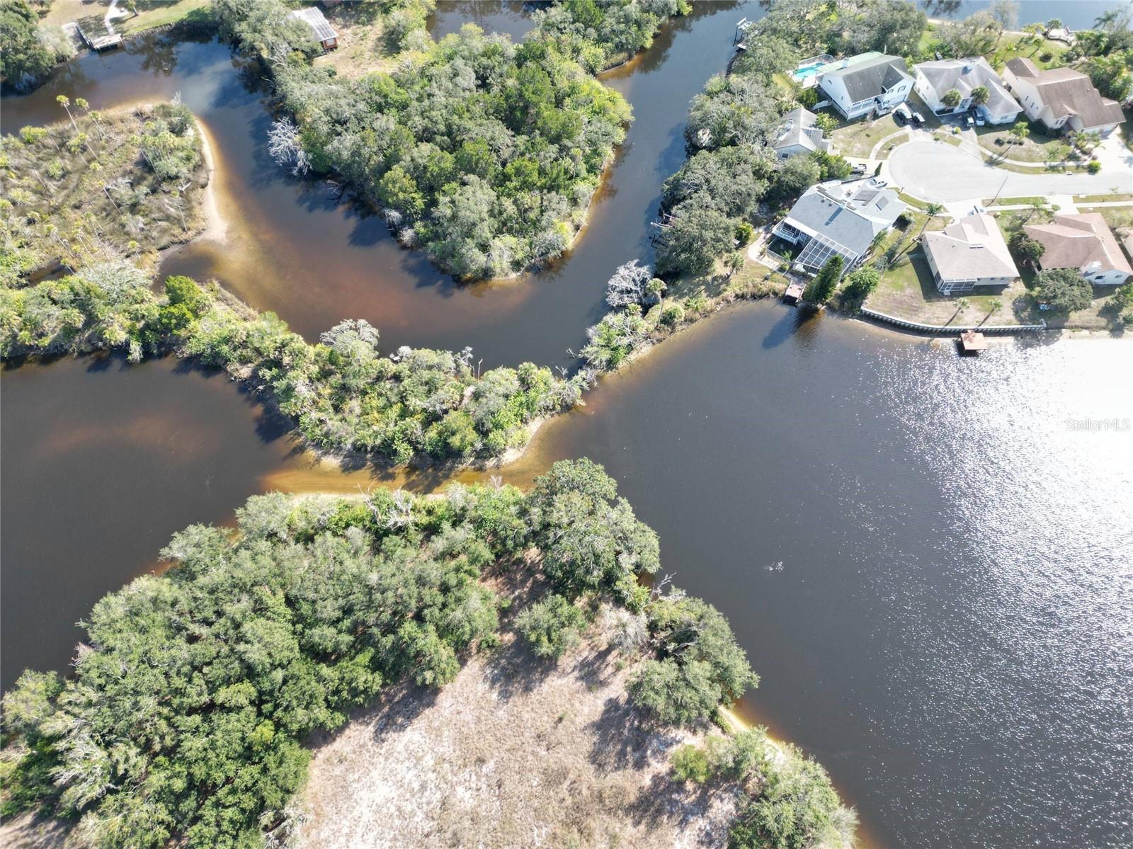 TAMPA TARPON SPGS LAND CO - Land