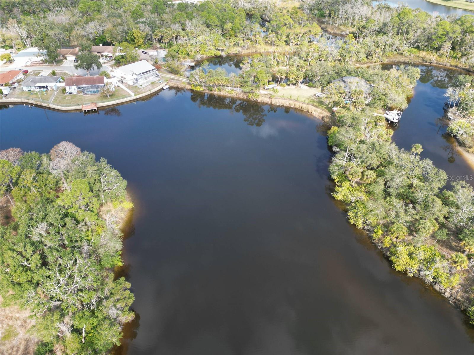 TAMPA TARPON SPGS LAND CO - Land
