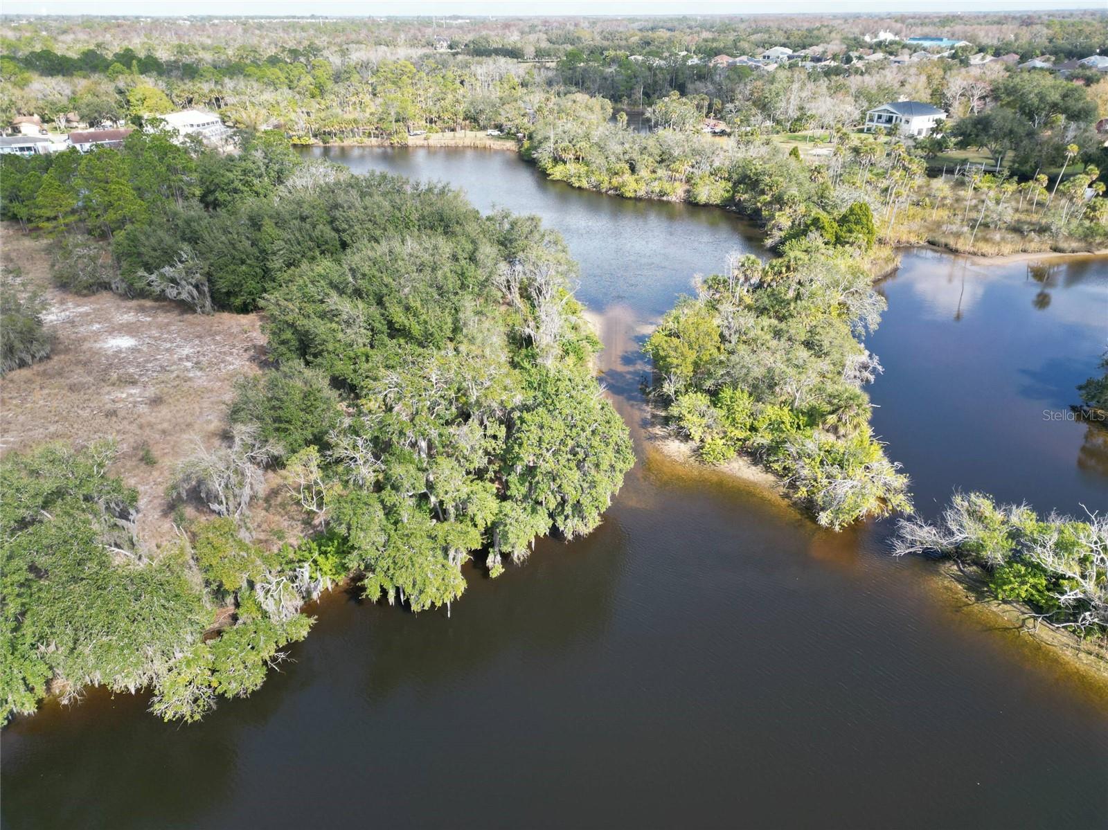 TAMPA TARPON SPGS LAND CO - Land