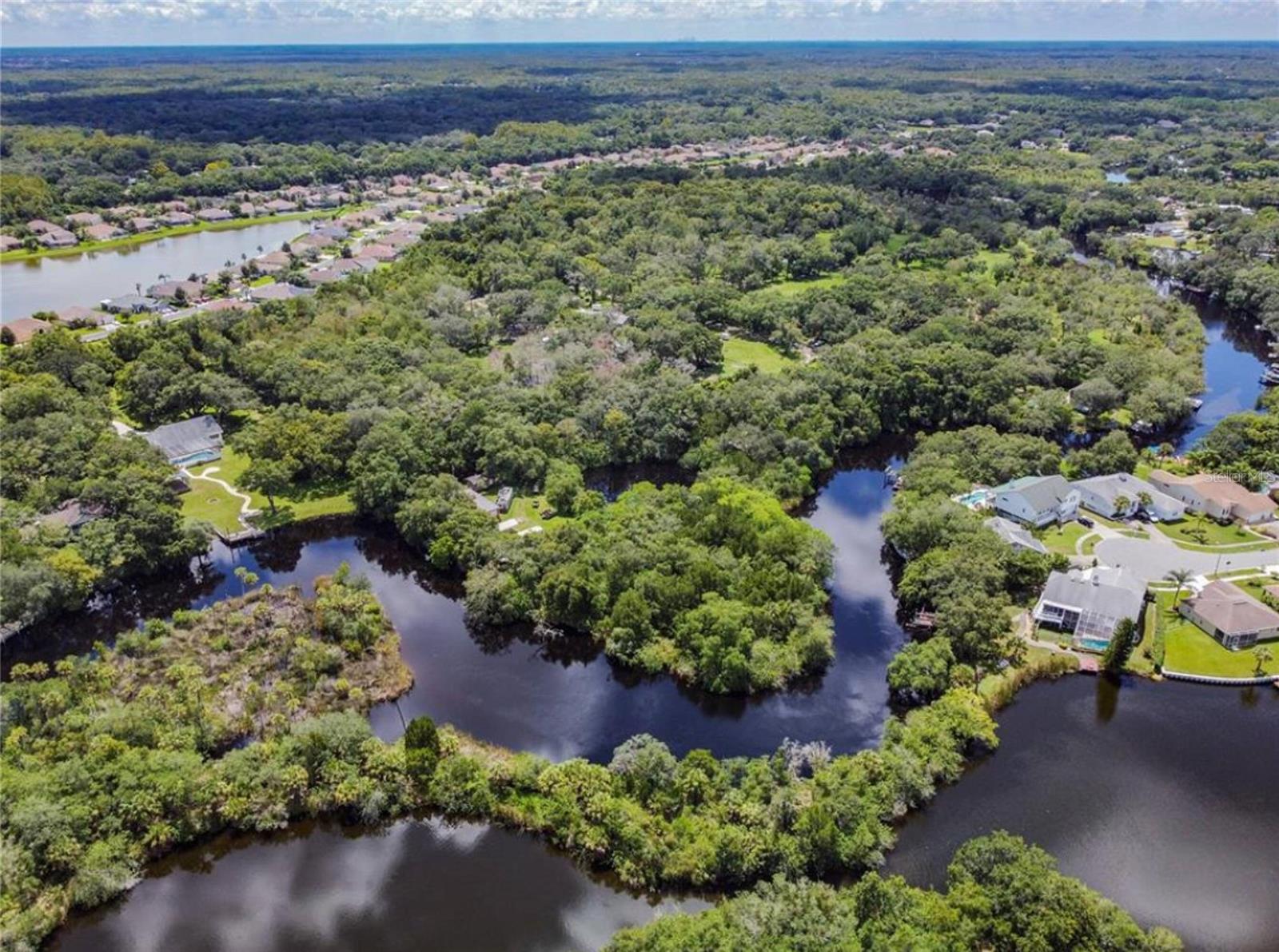 TAMPA TARPON SPGS LAND CO - Land