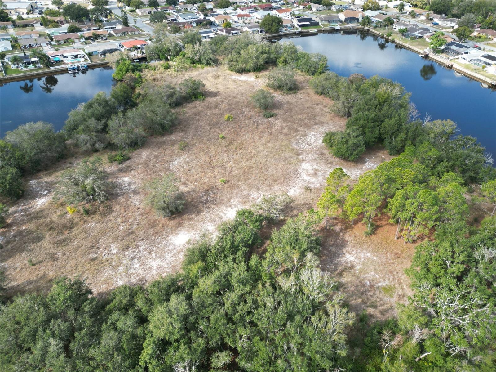 TAMPA TARPON SPGS LAND CO - Land