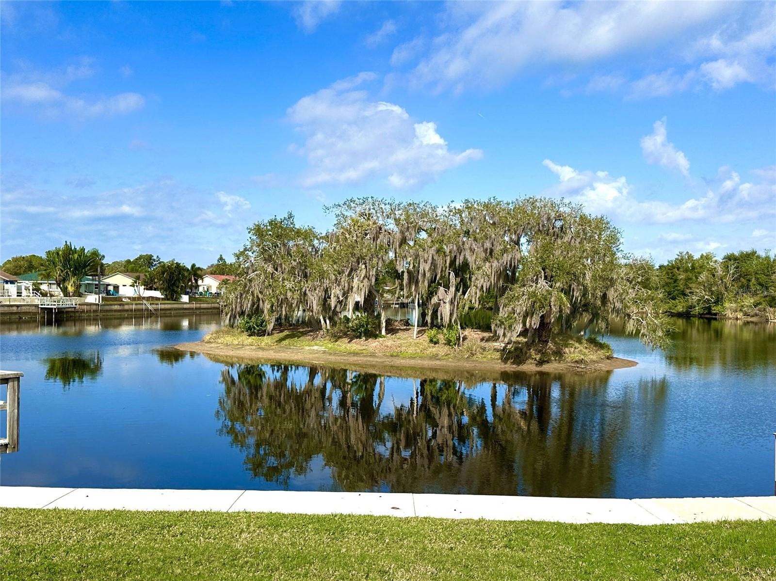 TAMPA TARPON SPGS LAND CO - Land