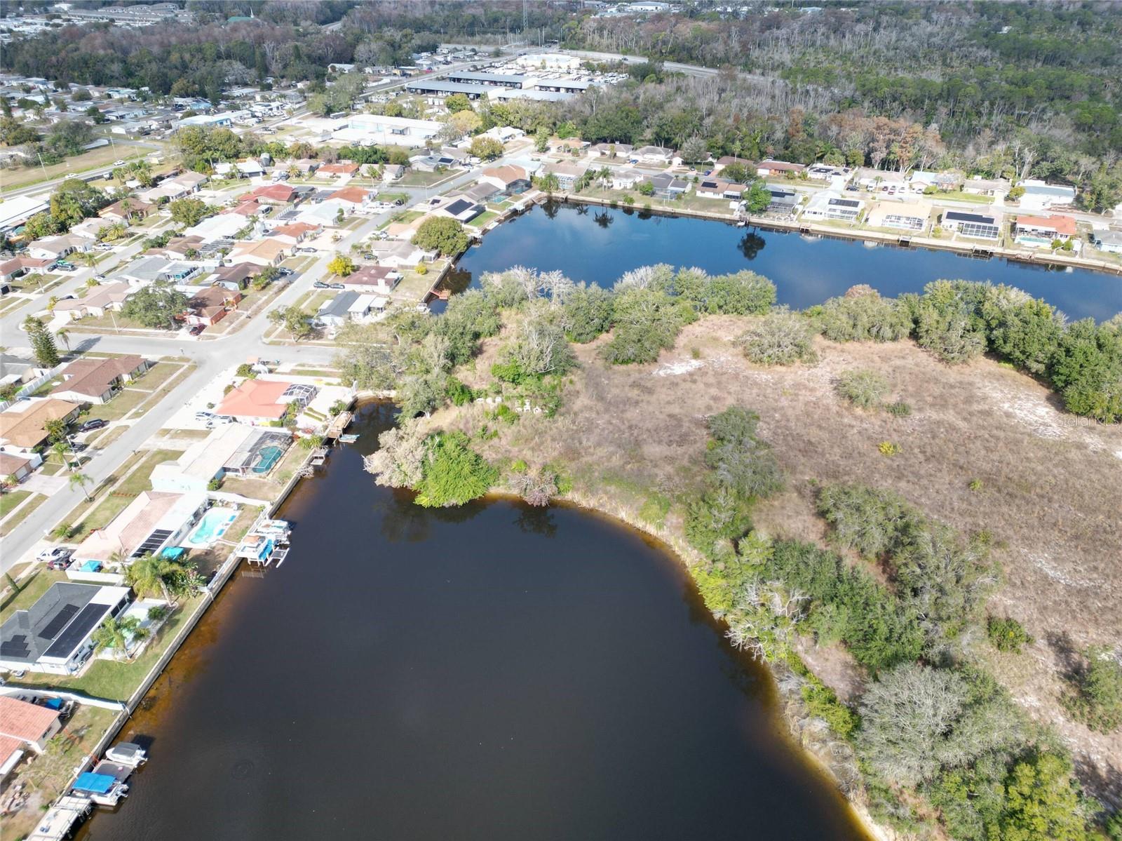 TAMPA TARPON SPGS LAND CO - Land