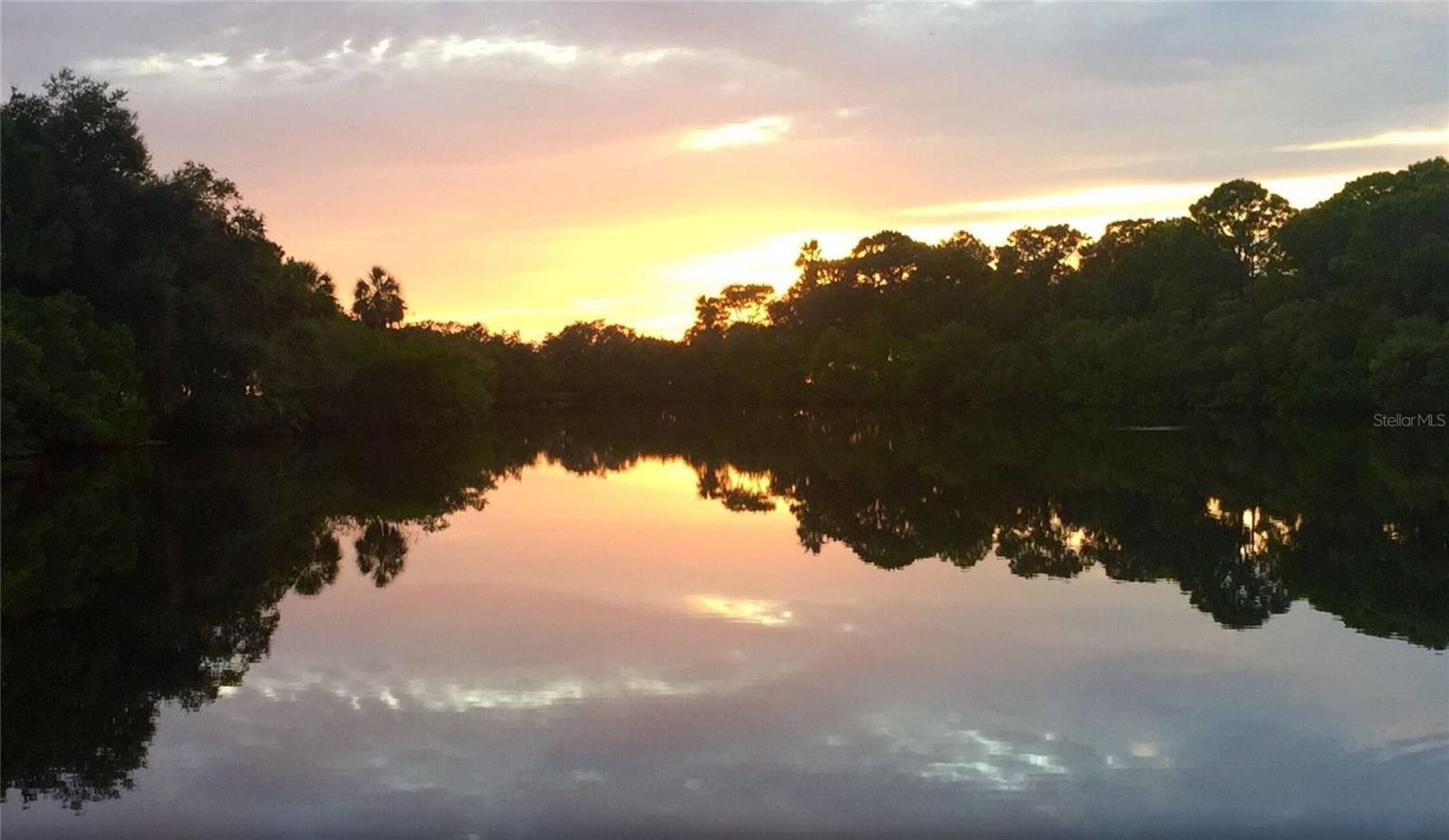 TAMPA TARPON SPGS LAND CO - Land