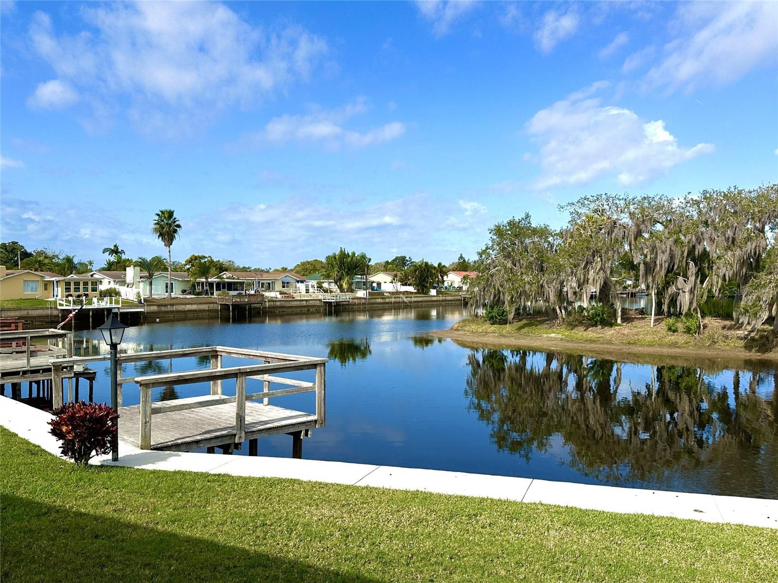 TAMPA TARPON SPGS LAND CO - Land