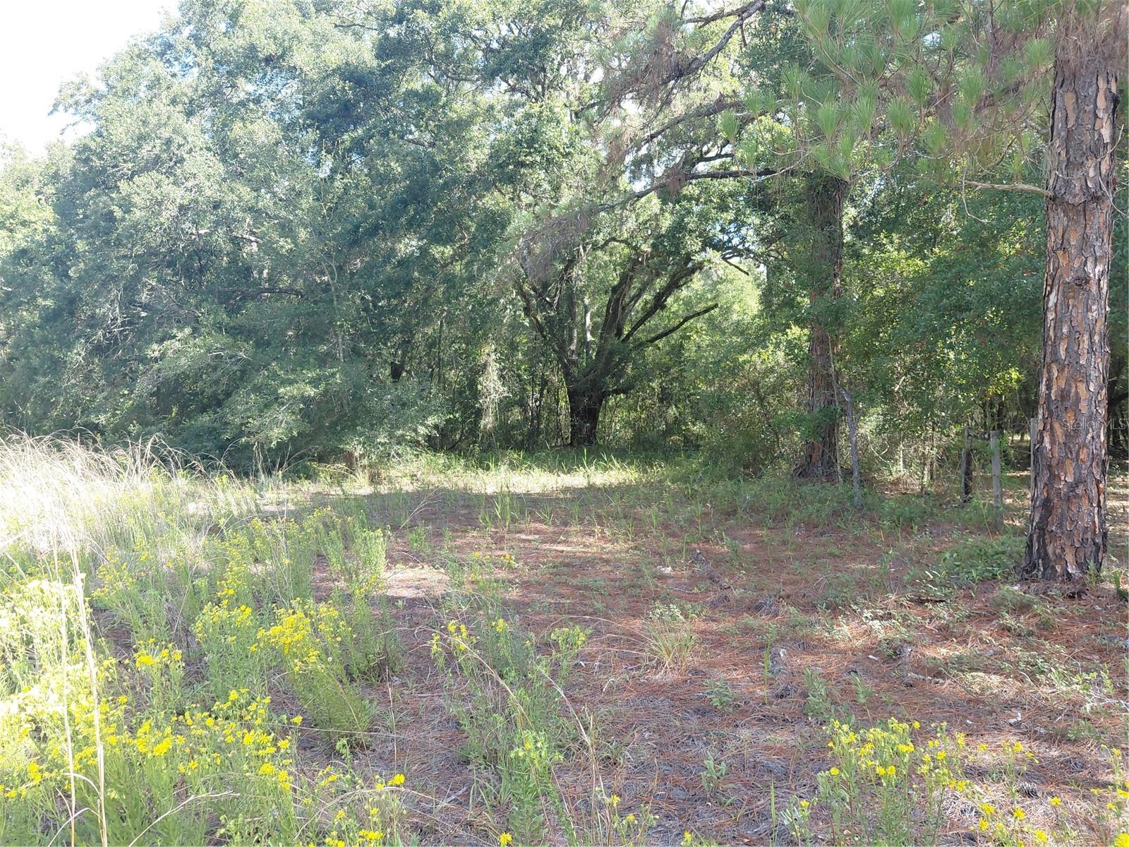 RIDGE MANOR ESTATE - Land