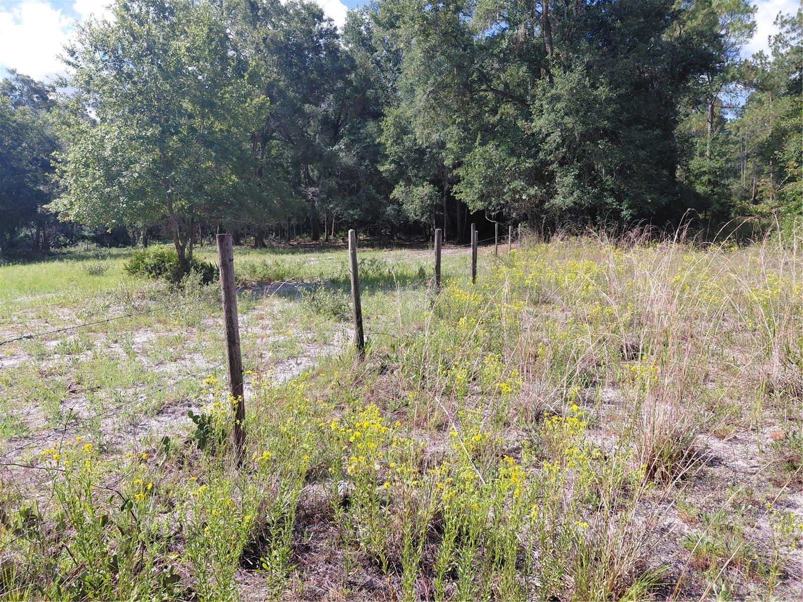RIDGE MANOR ESTATE - Land