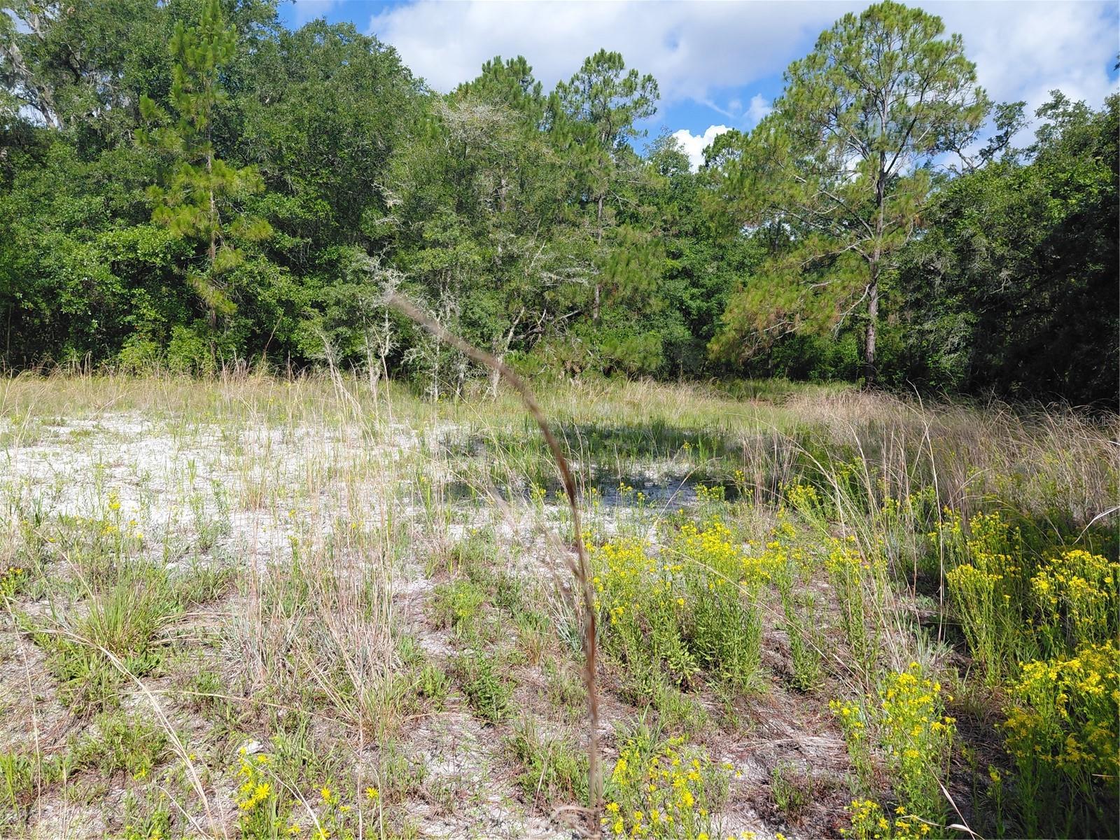 RIDGE MANOR ESTATE - Land