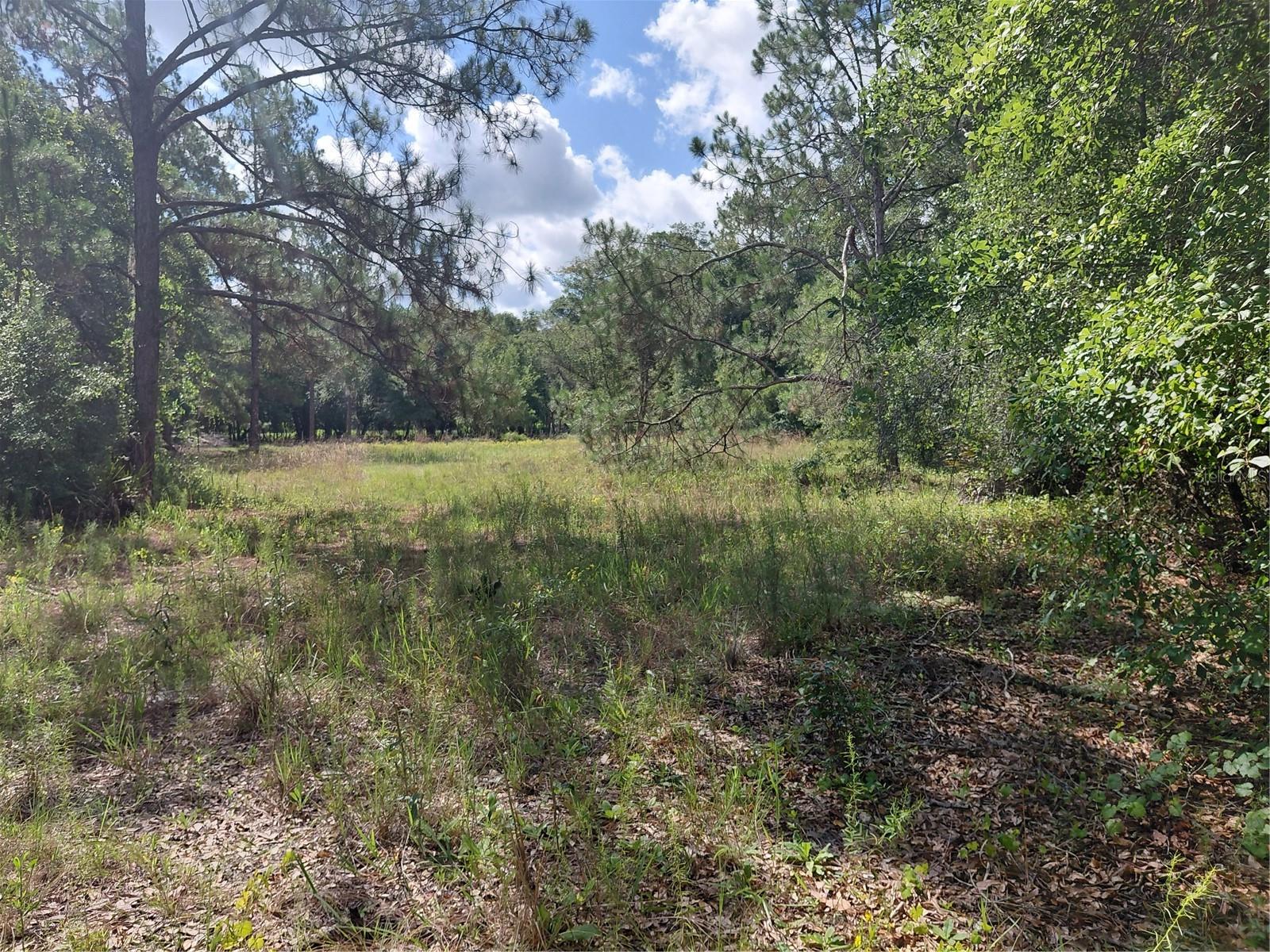 Looking for a place to BUG OUT and LIVE OFF THE GRID? Absolutely beautiful 1.19 acres ALL HIGH AND DRY in the rural setting of Ridge Manor Estates! With large open spaces,there's plenty of room to build your dream CUSTOM COUNTRY ESTATE with a pool and assessory buildings, without removing the very mature towering trees!! GPS doesn't recognize "Pinon Dr", but instead "Dinon Dr". This parcel is so tucked away, the road has overgrown and you'll have to take a short hike to the property until you buy it and clear the road. The railroad runs along the west side at a distance and is fenced off, with a gorgeous scenic view of wooded area, guaranteeing no future neighbors!!  Ridge Manor is nestled between Dade City and Brooksville......just a 6 minute drive to I-75. Community amenities include a park with picnic areas, baseball fields, and playgrounds. Call to schedule your private showing, and secure this awesome piece of land today!!