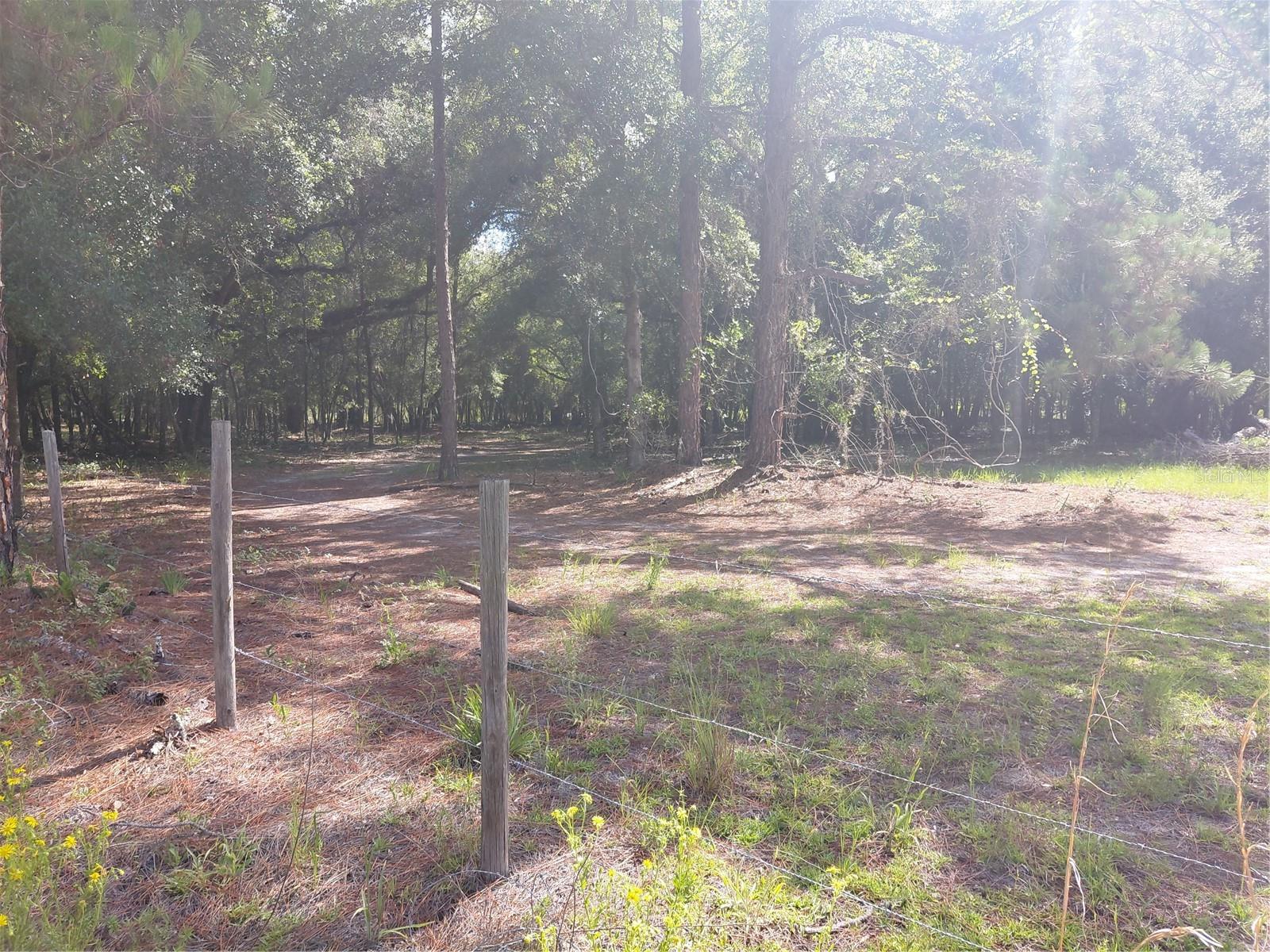 RIDGE MANOR ESTATE - Land