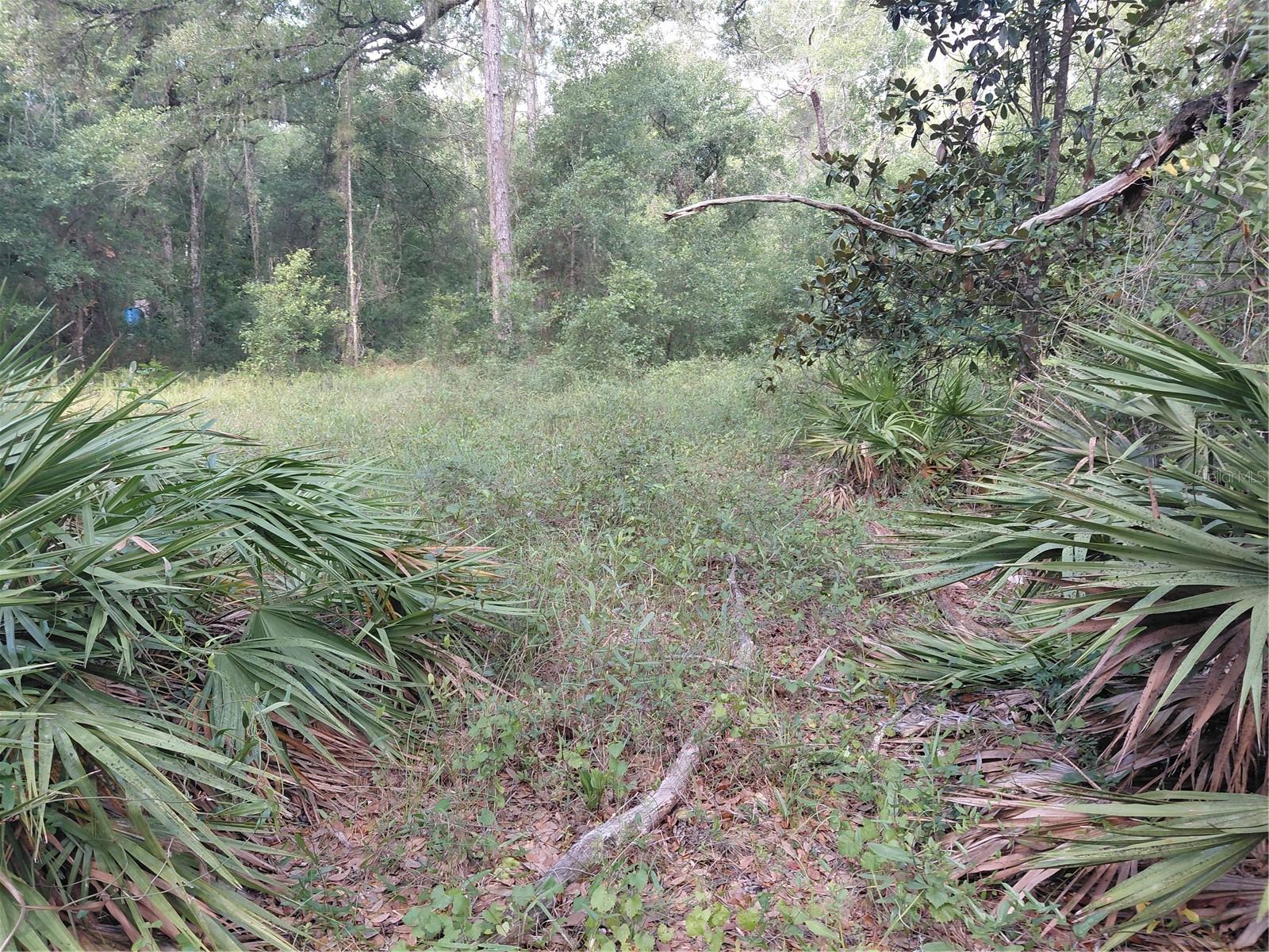 RIDGE MANOR ESTATE - Land