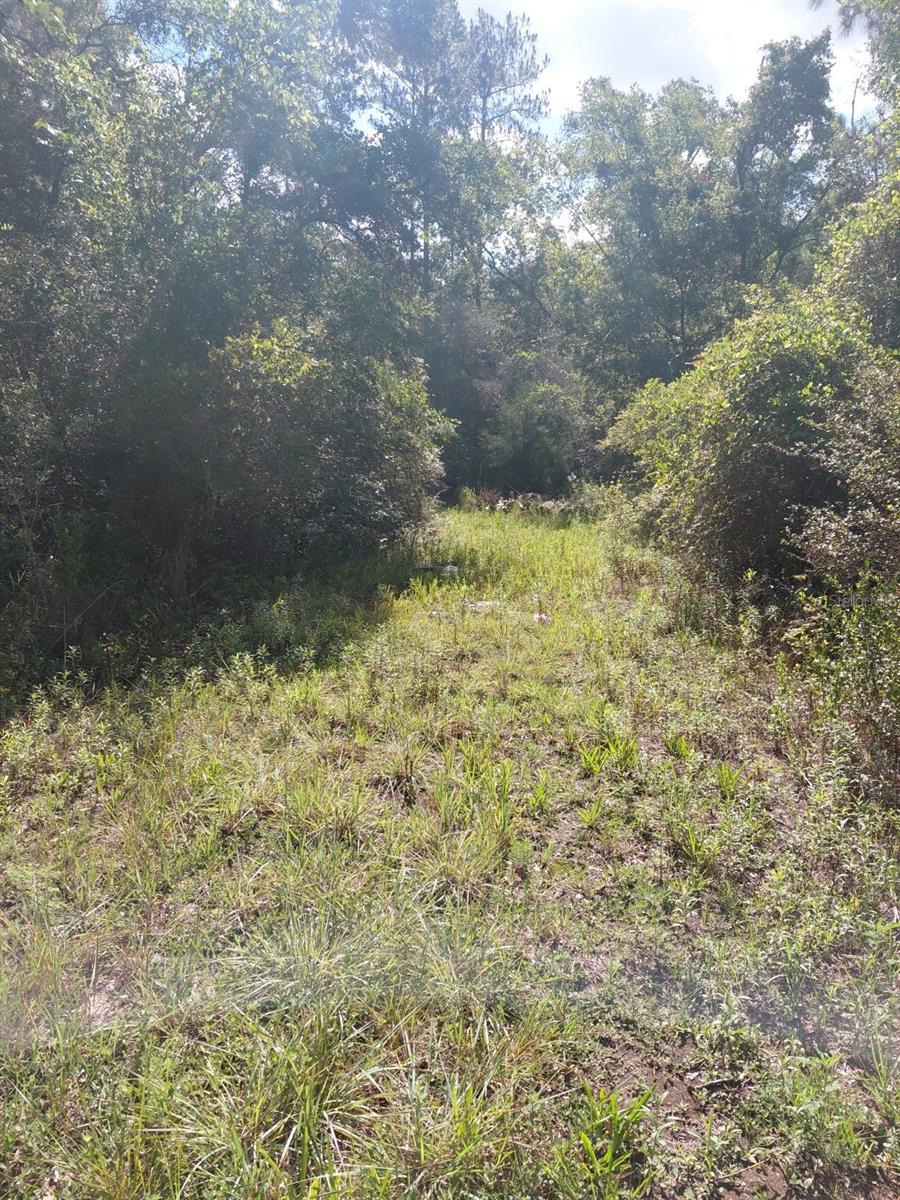 RIDGE MANOR ESTATE - Land