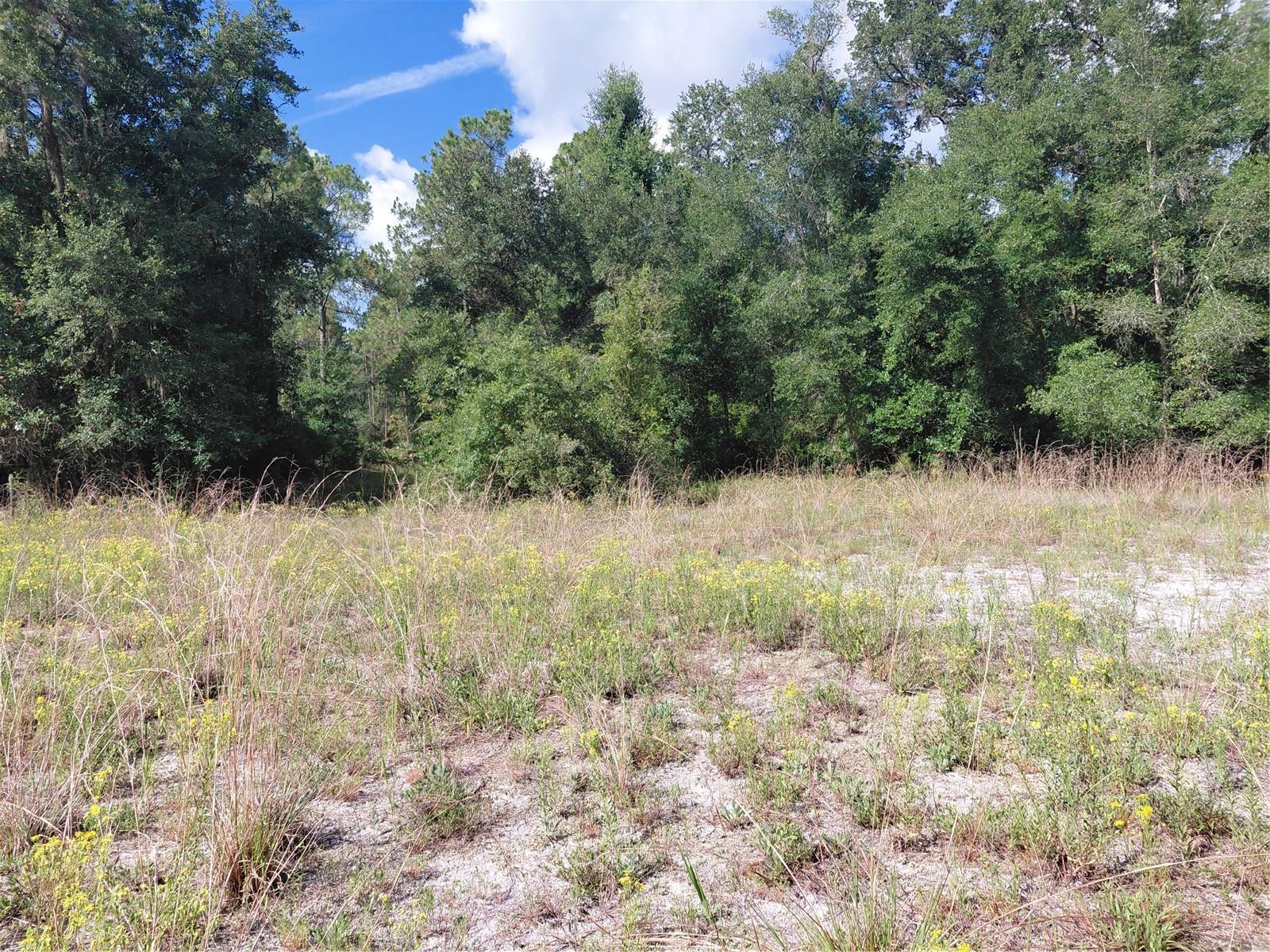 RIDGE MANOR ESTATE - Land