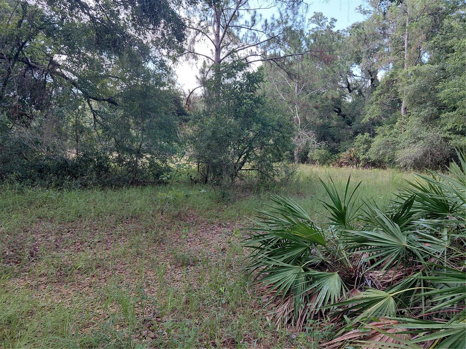 RIDGE MANOR ESTATE - Land