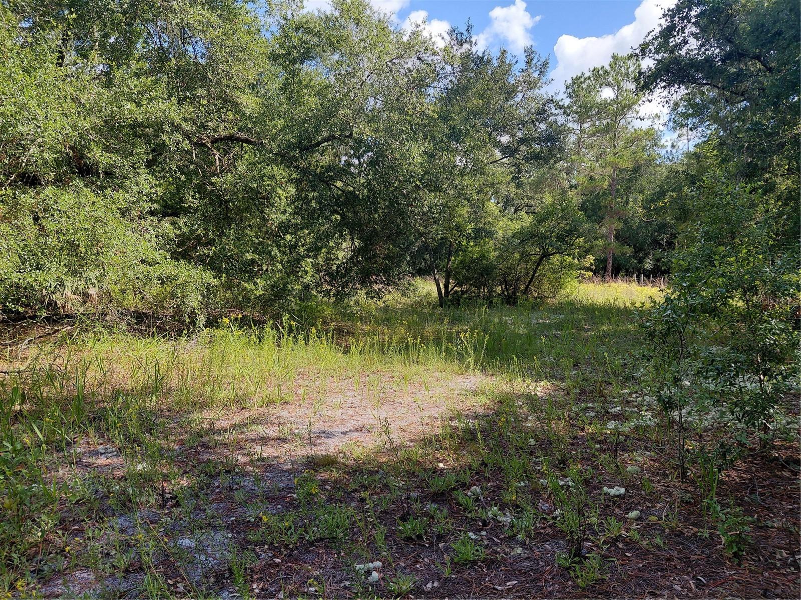 RIDGE MANOR ESTATE - Land
