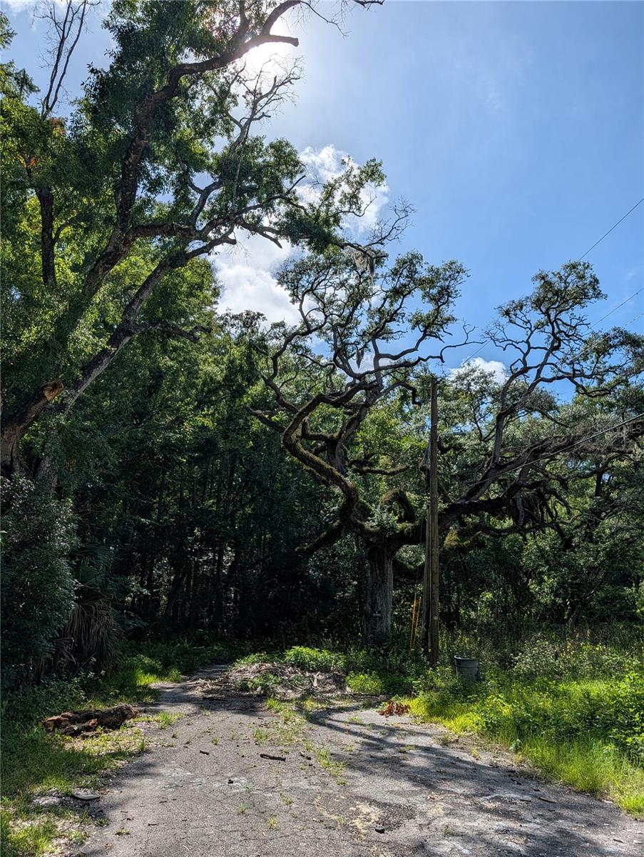 Three lots total, 2 parcels close to corner of SR 52 and Little Rd New Port Richey.