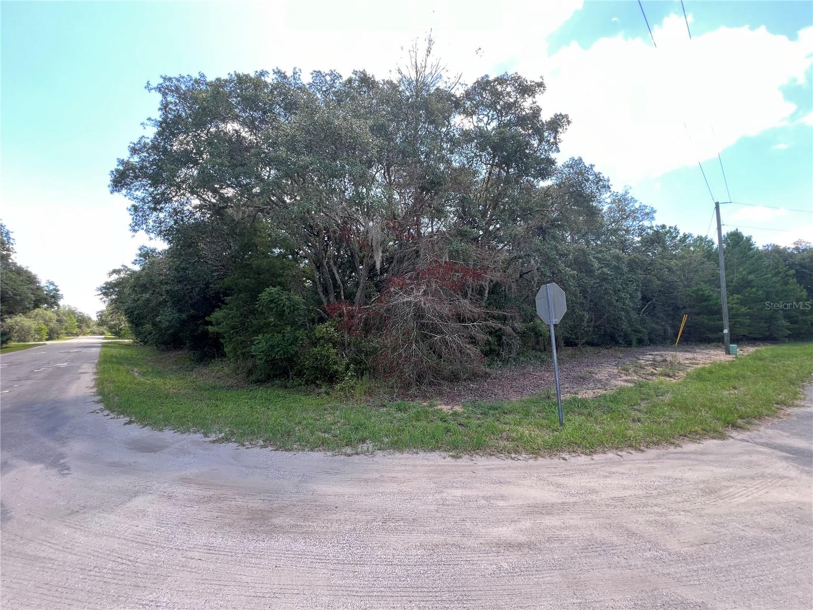 Build your Florida dream on this 0.25-acre corner lot in Ocklawaha! This partially wooded parcel offers a great balance of privacy and natural beauty, with electric available nearby for added convenience. Whether you're planning a site-built home or investing for the future, this corner lot provides easy access while maintaining a peaceful setting. Conveniently located near lakes, trails, and the Ocala National Forest, you'll enjoy the best of Florida's outdoor lifestyle.