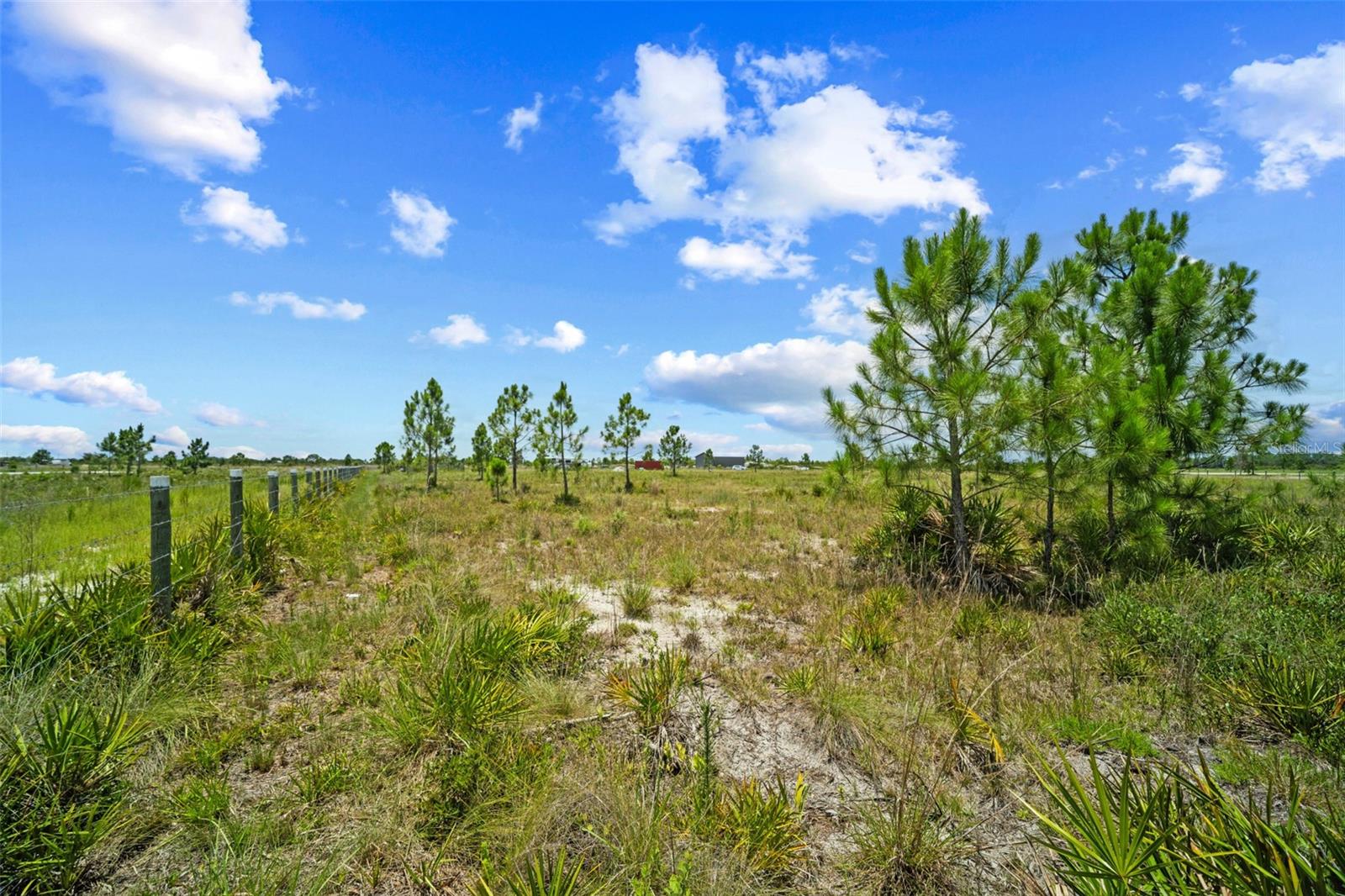 ACREAGE - Land
