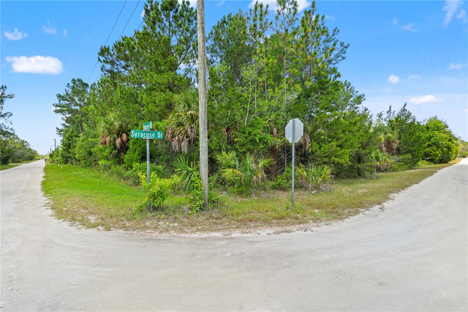 Your slice of Florida's Nature Coast is waiting!
Over an acre of wide-open possibility on Ramsey Rd in the heart of Royal Highlands — this 1.2-acre vacant residential lot is your blank canvas to build the Florida lifestyle you've been dreaming about. No builder deadlines, no rush — just space, freedom, and room to make it yours on your own timeline.
Imagine waking up steps from some of Florida's most breathtaking natural beauty. Weeki Wachee Springs State Park is just down the road, with crystal-clear springs, kayaking, and outdoor adventures at your doorstep. Need conveniences? US-19 puts shopping, dining, and everyday essentials within easy reach, and the Suncoast Parkway keeps Tampa Bay closer than you'd think.
Royal Highlands offers established, improved roadways in a community that balances peaceful country living with real accessibility — the best of both worlds on Florida's fastest-growing coast. At over 52,000 square feet, this lot gives you the breathing room that's nearly impossible to find at this price point.
Whether you're ready to build now or land banking for the future, this is the kind of opportunity that doesn't sit long in today's Hernando County market. Buyer to verify zoning, deed restrictions, utility availability, and buildability with Hernando County prior to closing. Well and septic required; buyer to confirm feasibility independently. All measurements from public records and deemed reliable but not guaranteed. Survey recommended. Legal: Royal Highlands Unit 1 Blk 24 Lot 16, Parcel ID 00629831.