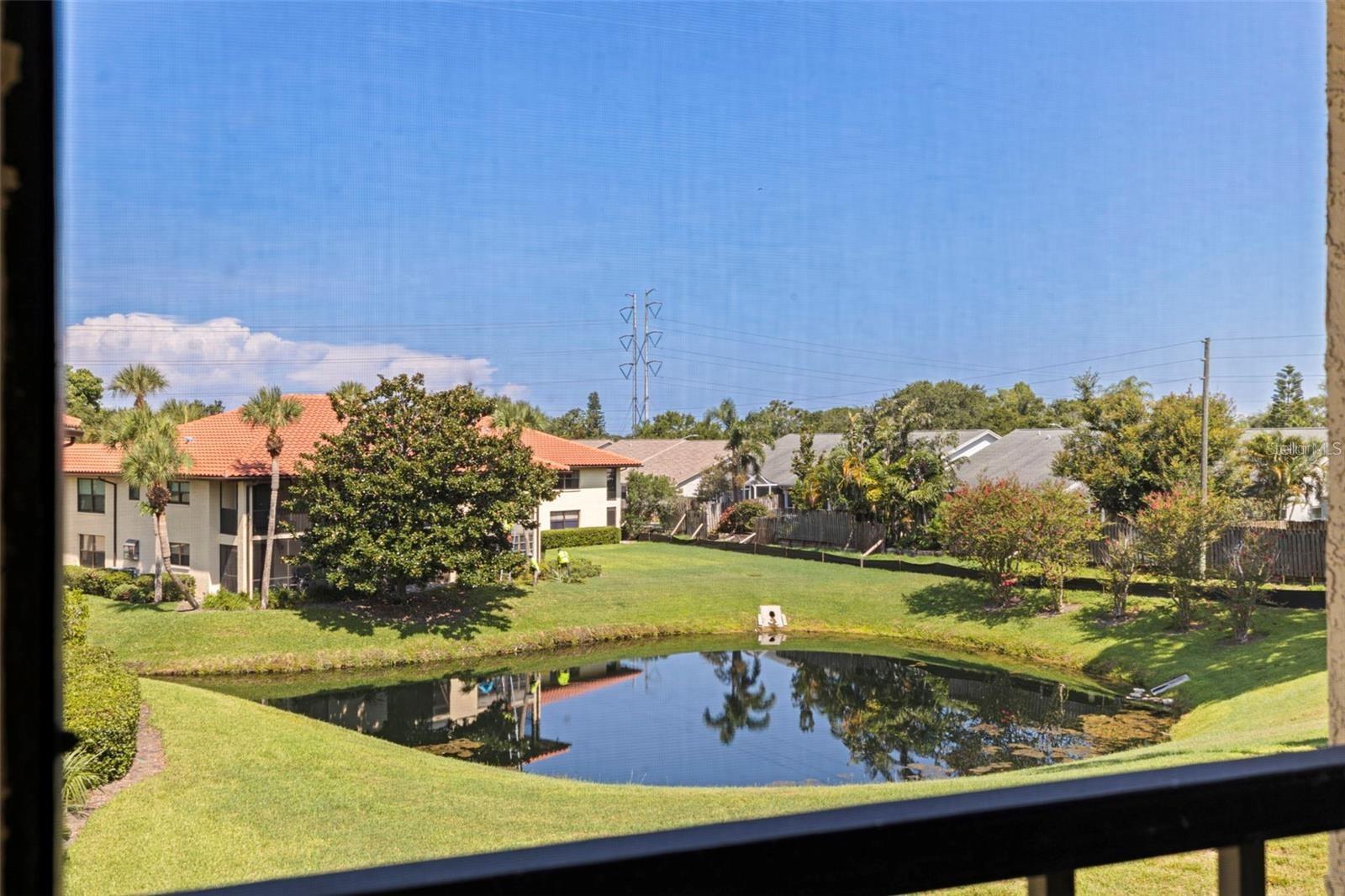 HAMMOCK PINE VILLAGE - Residential