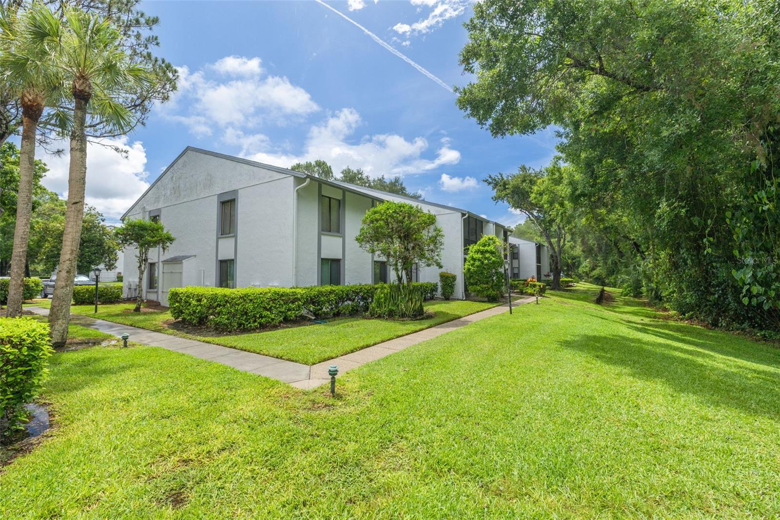 PINE RIDGE AT LAKE TARPON VILLAGE - Residential