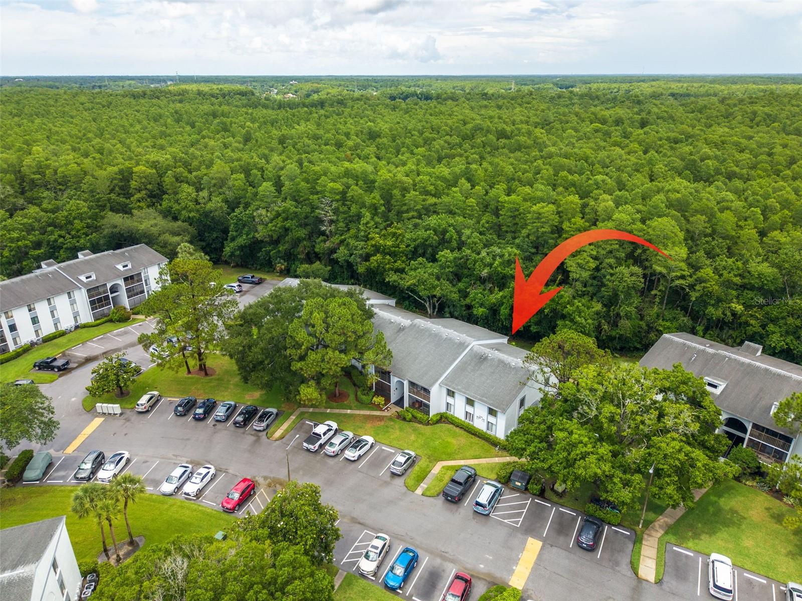 PINE RIDGE AT LAKE TARPON VILLAGE - Residential
