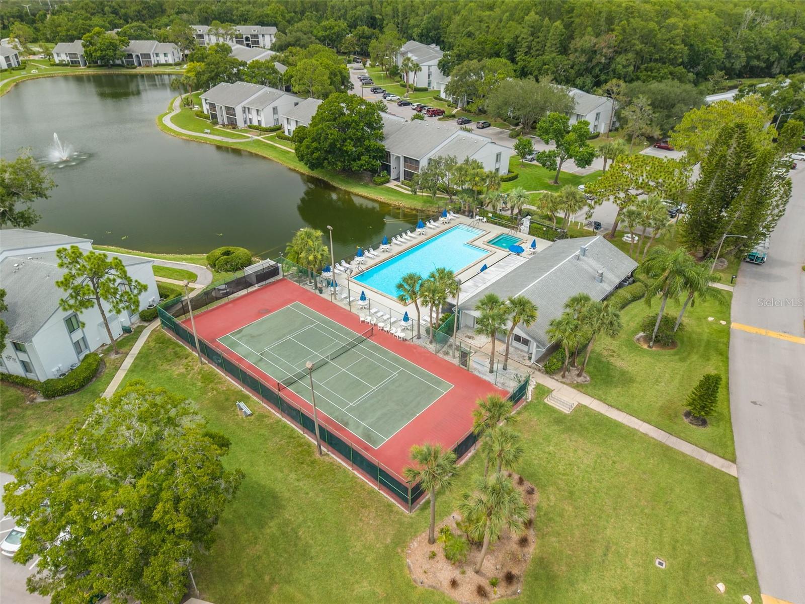 PINE RIDGE AT LAKE TARPON VILLAGE - Residential