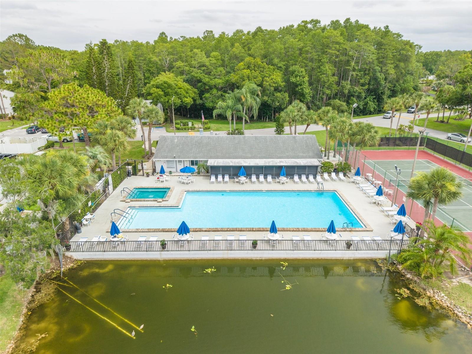 PINE RIDGE AT LAKE TARPON VILLAGE - Residential