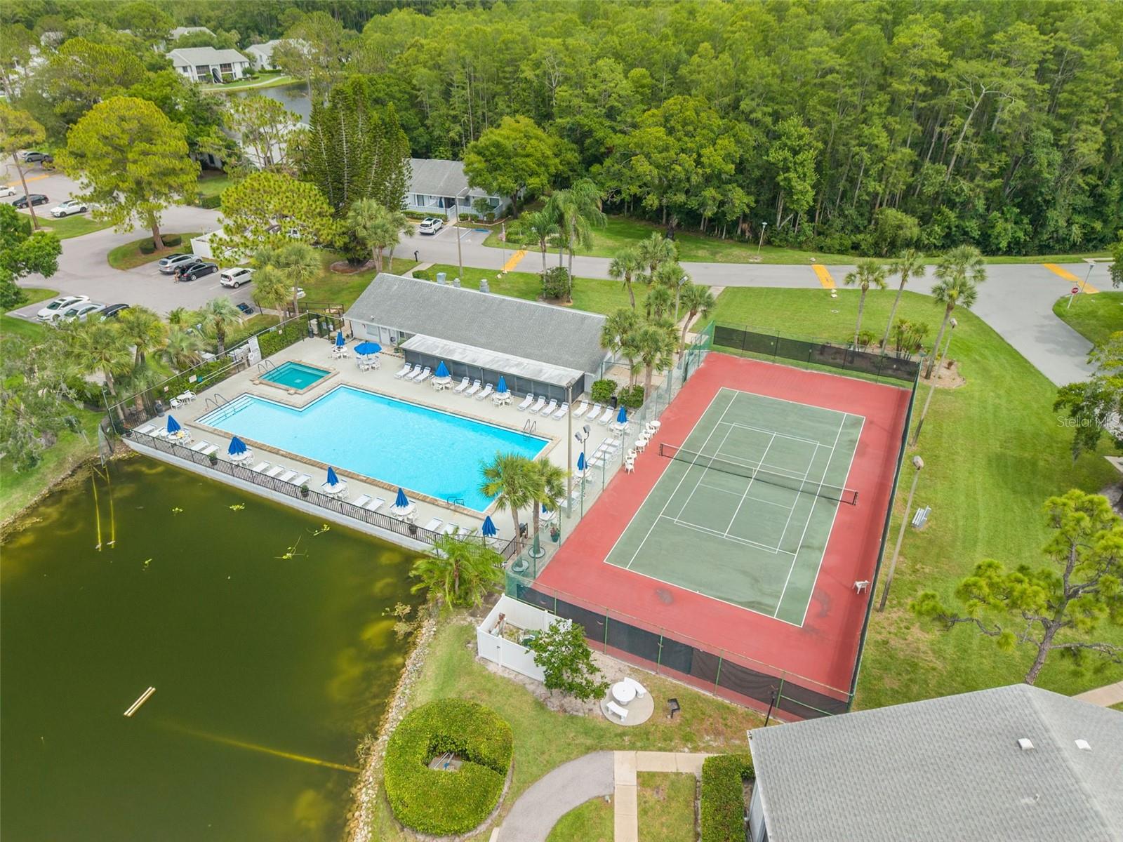 PINE RIDGE AT LAKE TARPON VILLAGE - Residential