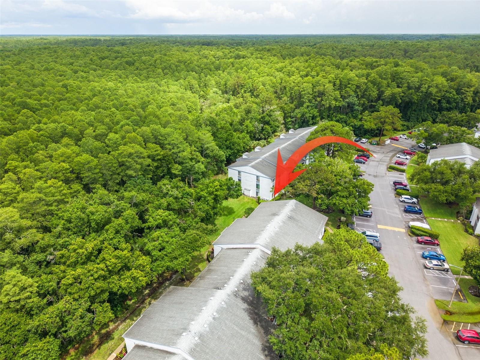 PINE RIDGE AT LAKE TARPON VILLAGE - Residential