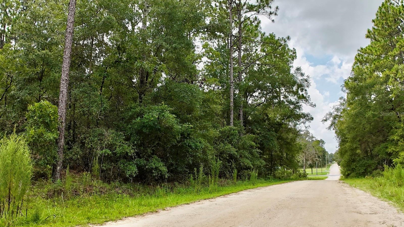 LUXURY ROLLING HILLS HOMESITE - 1.05 Acres, Close to the World Equestrian Center, perfect building site for your new home. Enjoying Ocala country living.  This high and dry property is nestled among mature trees. Highlights include: Rainbow Springs & KP Hole Park, provides unlimited recreation. Perfect safe place for your family! Minutes to Juliette Falls Wold Class Gold Course, shopping, medical and fine dining options in Ocala, Gainesville. Major highway access I-75, and more.