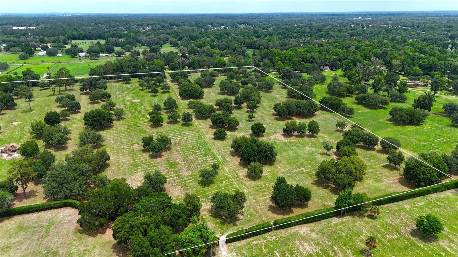 Discover the beauty of this enchanting 39 +/- acres, featuring gently rolling hills adorned with magnificent Granddaddy Oaks. This picturesque land is ideally located near the prestigious Country Club of Ocala and the Santos Trailhead, perfect for outdoor enthusiasts!
This property is a blank canvas for your vision—whether you dream of building a luxurious estate, a charming family home, or your very own equestrian farm. With A-3 zoning and no deed restrictions, the possibilities are limitless!
Don’t miss out on this incredible opportunity to create your dream oasis in a beautiful, serene setting; there’s an option to acquire additional acreage as well.  Bring your plans and start your journey today!