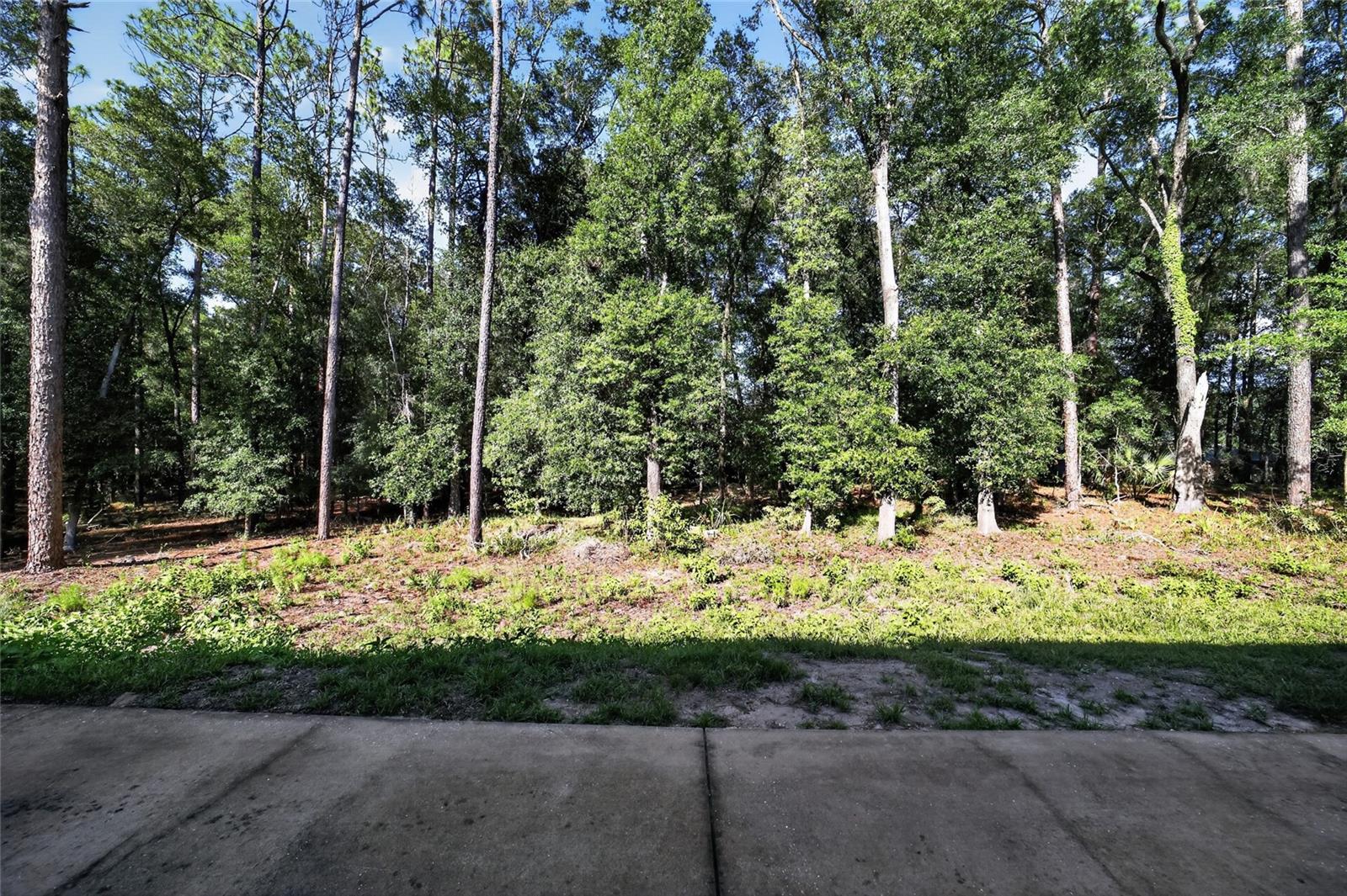 RAINBOW SPRINGS THE FOREST - Residential