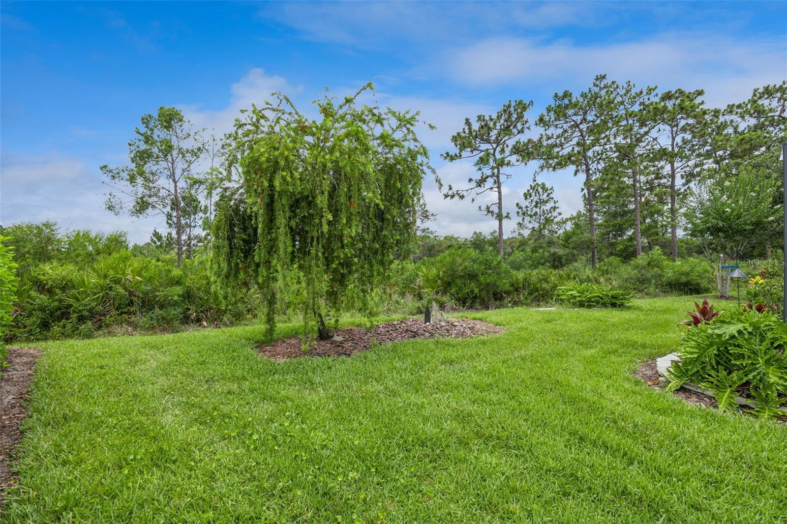 VICTORIA GARDENS PH 6 REPLAT - Residential