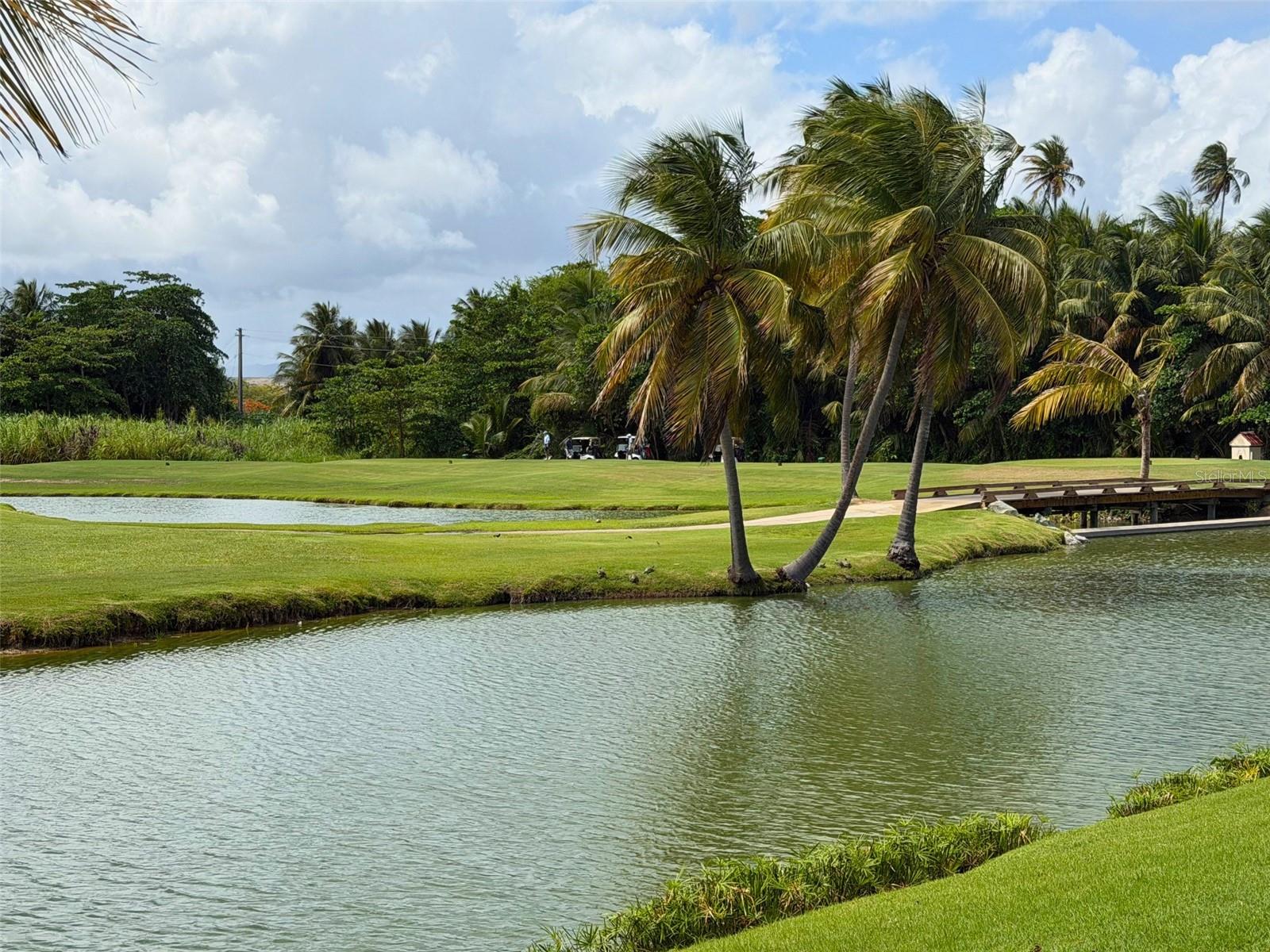 HARBOR VIEW ROAD - Residential