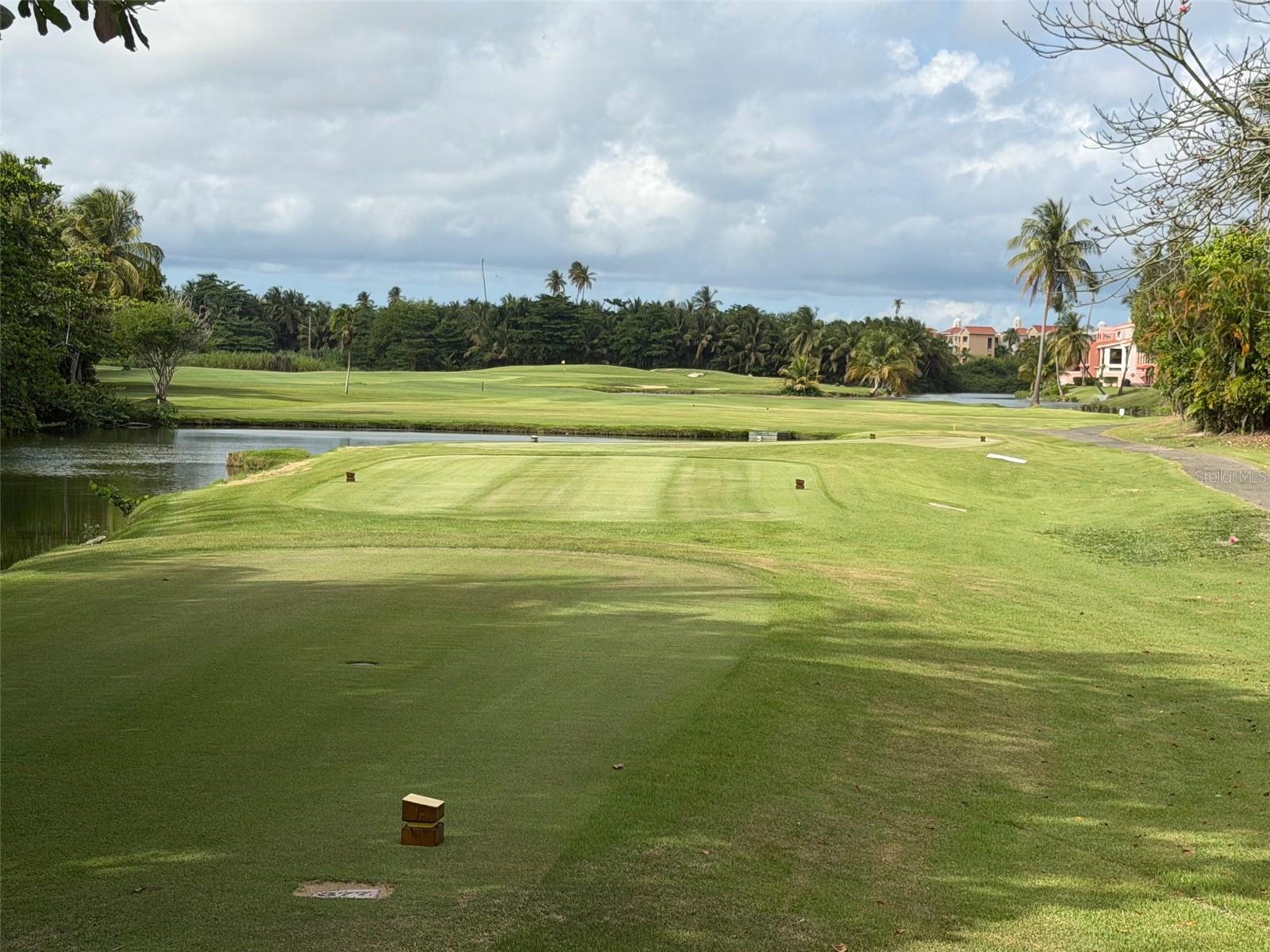 HARBOR VIEW ROAD - Residential