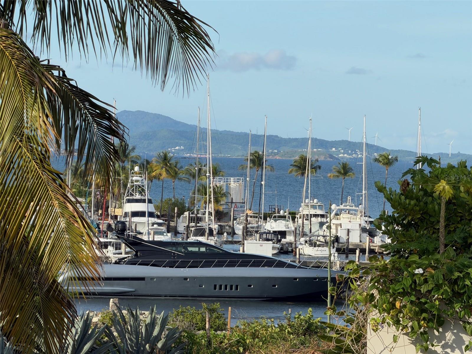 HARBOR VIEW ROAD - Residential