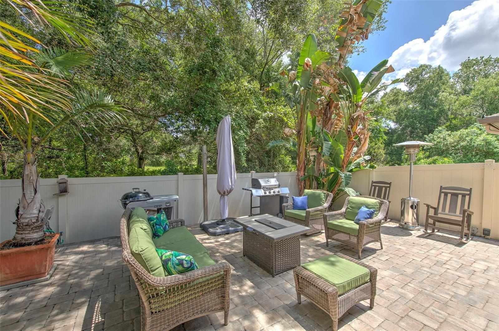 BRANDON PRESERVE - Residential