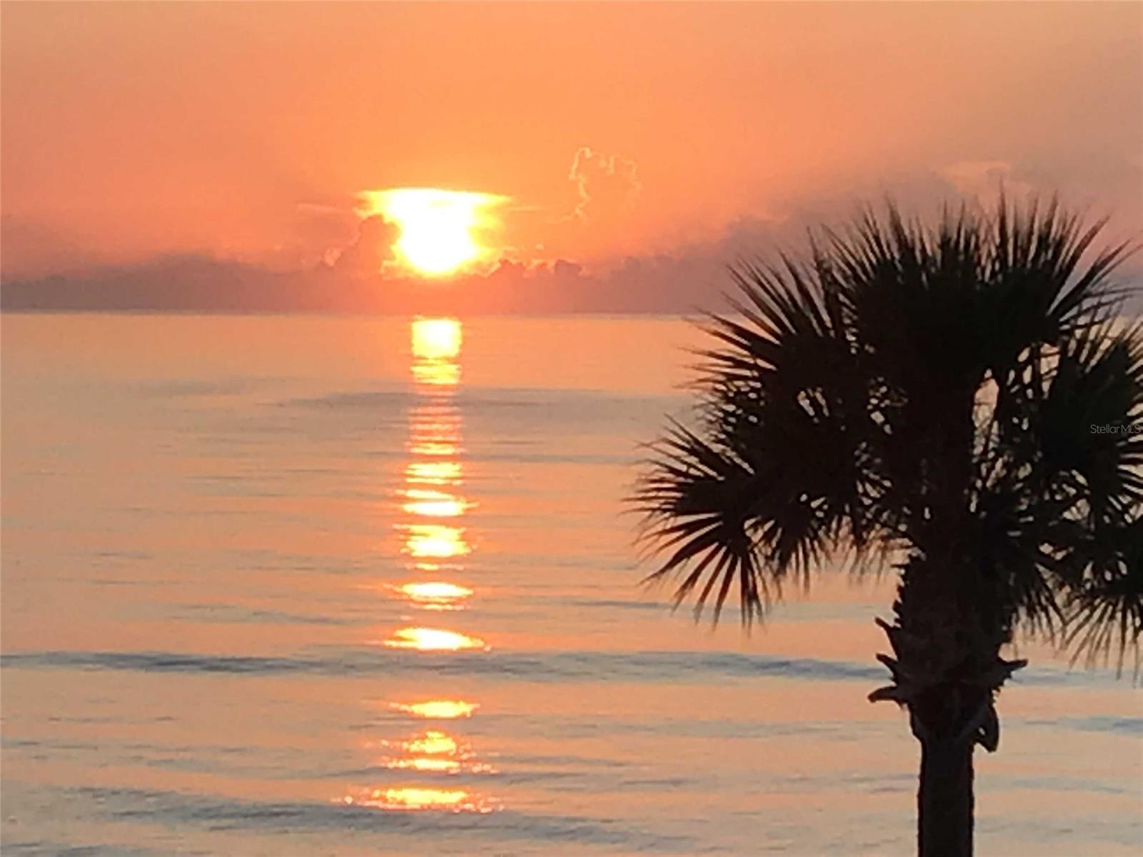 Daytona Beach Resort & Confer - Residential