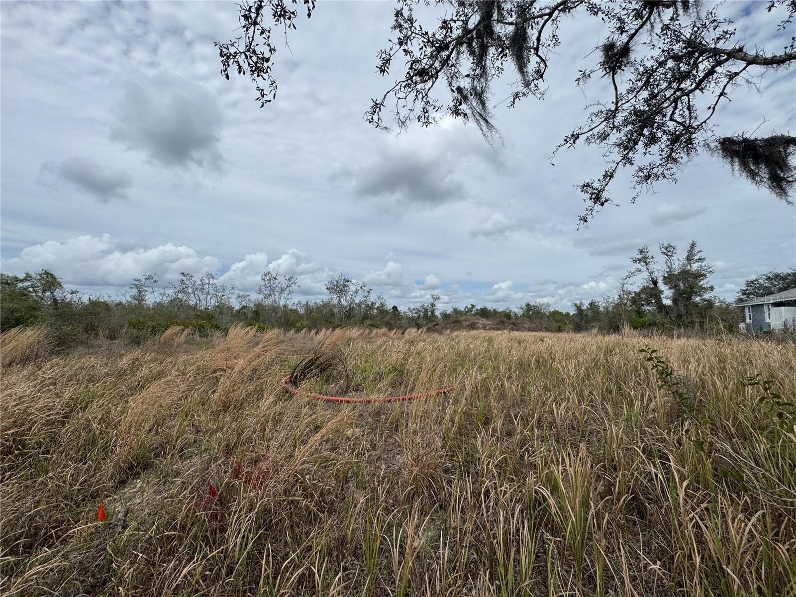 HABITAT - Land