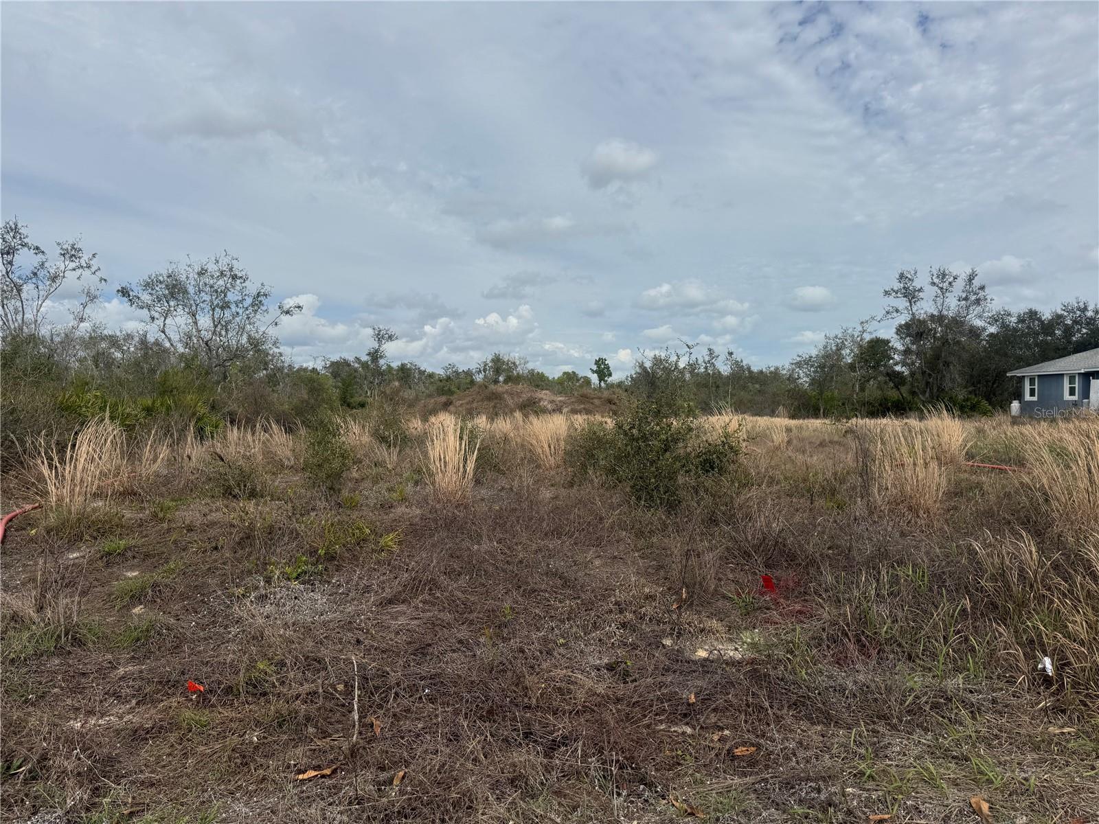 HABITAT - Land